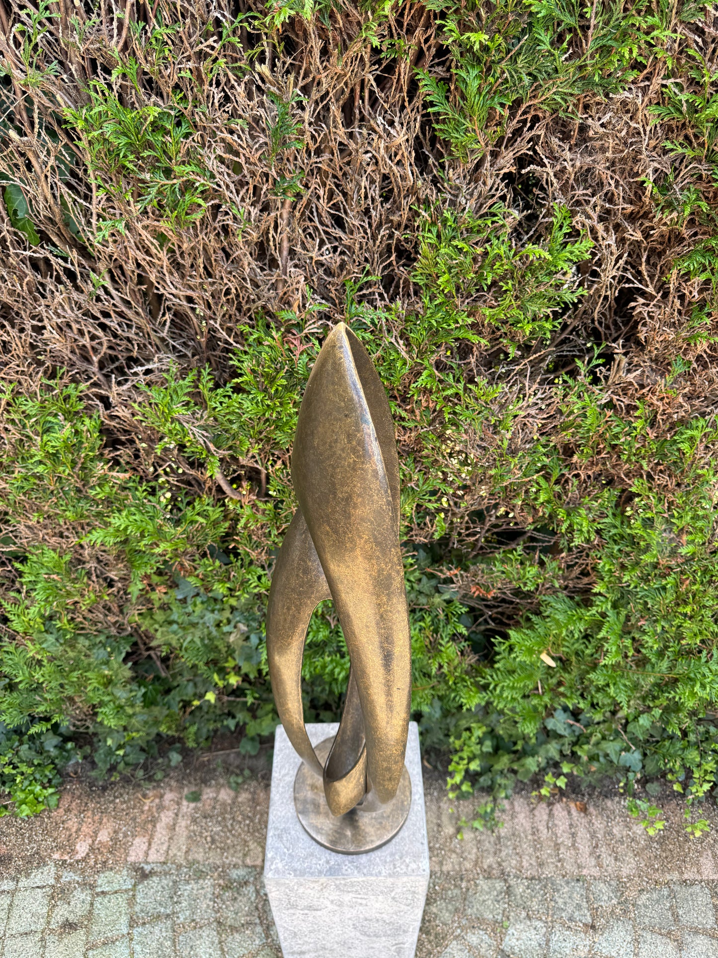 Wings of Continuity – Bronze Sculpture. 20x23x86cm - 7.7Kg