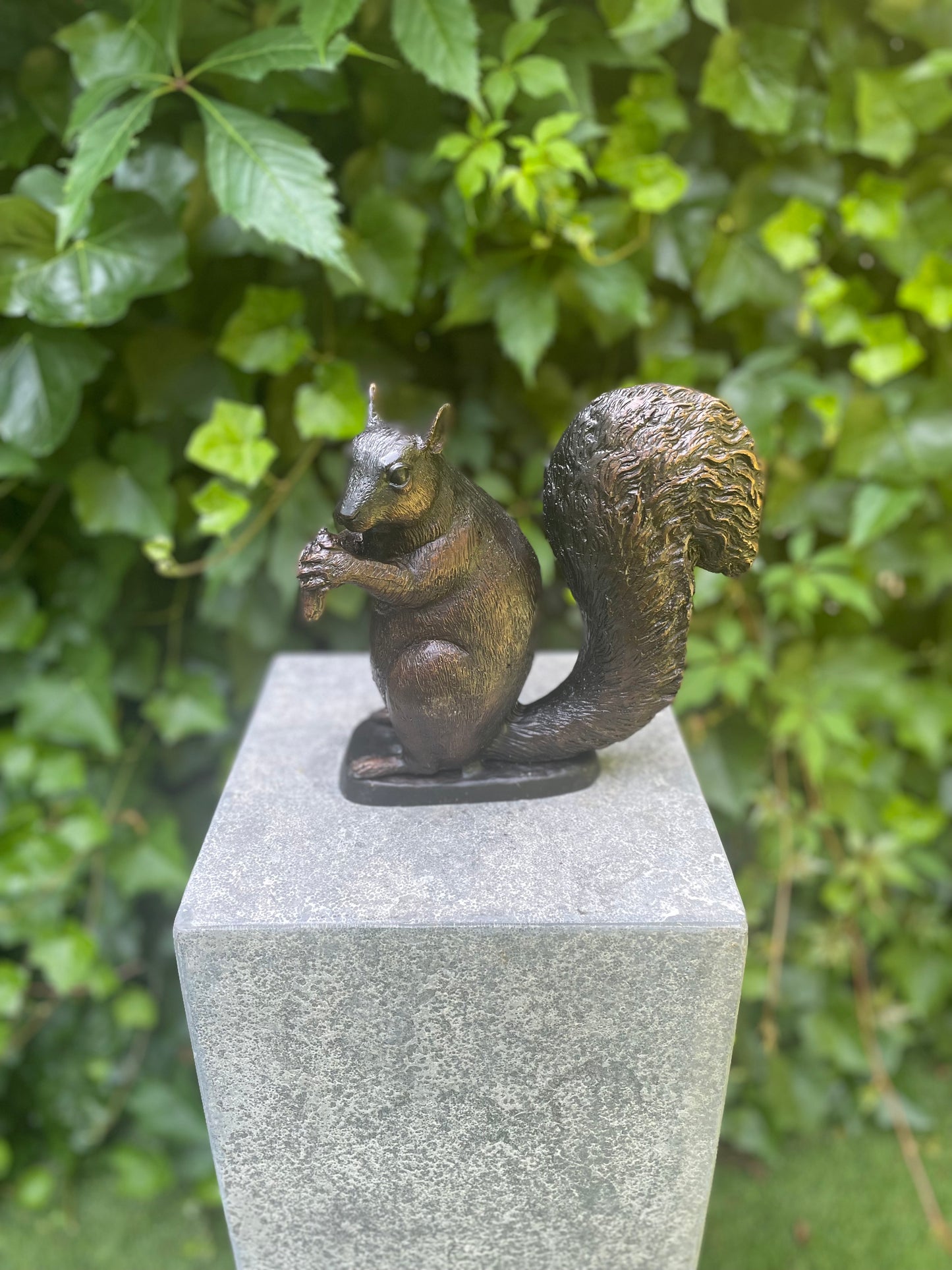 Sitting Squirrel – Bronze Sculpture. 22x17x21cm - 2.2Kg