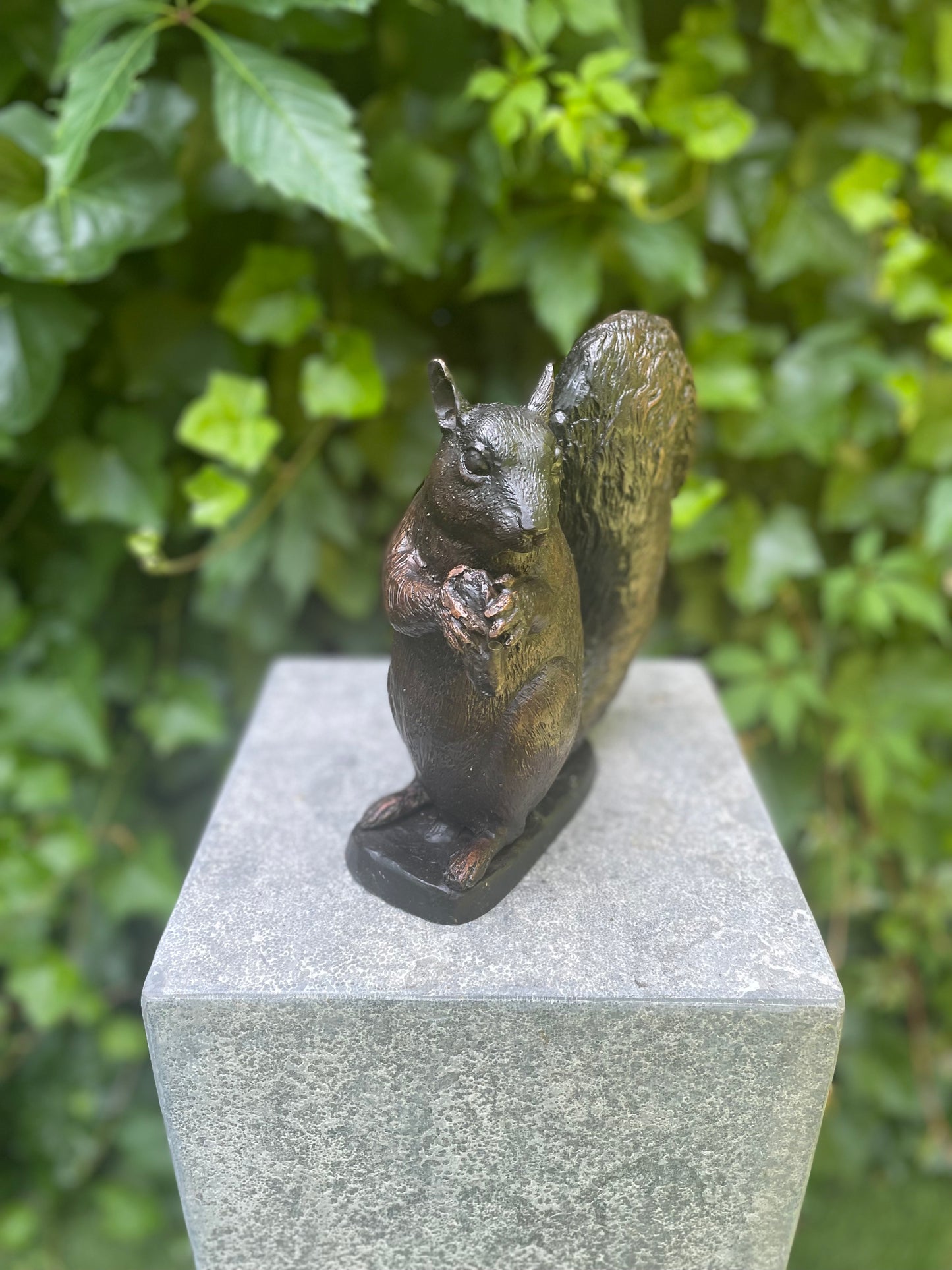 Sitting Squirrel – Bronze Sculpture. 22x17x21cm - 2.2Kg