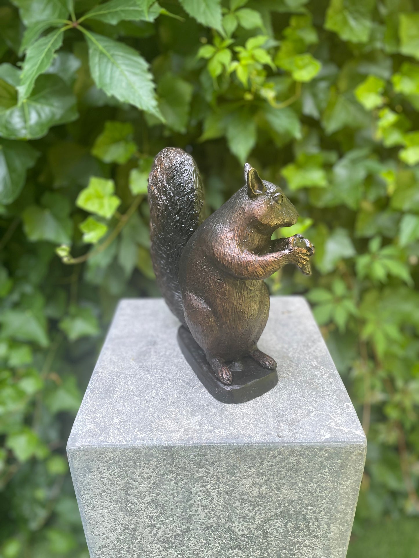 Sitting Squirrel – Bronze Sculpture. 22x17x21cm - 2.2Kg