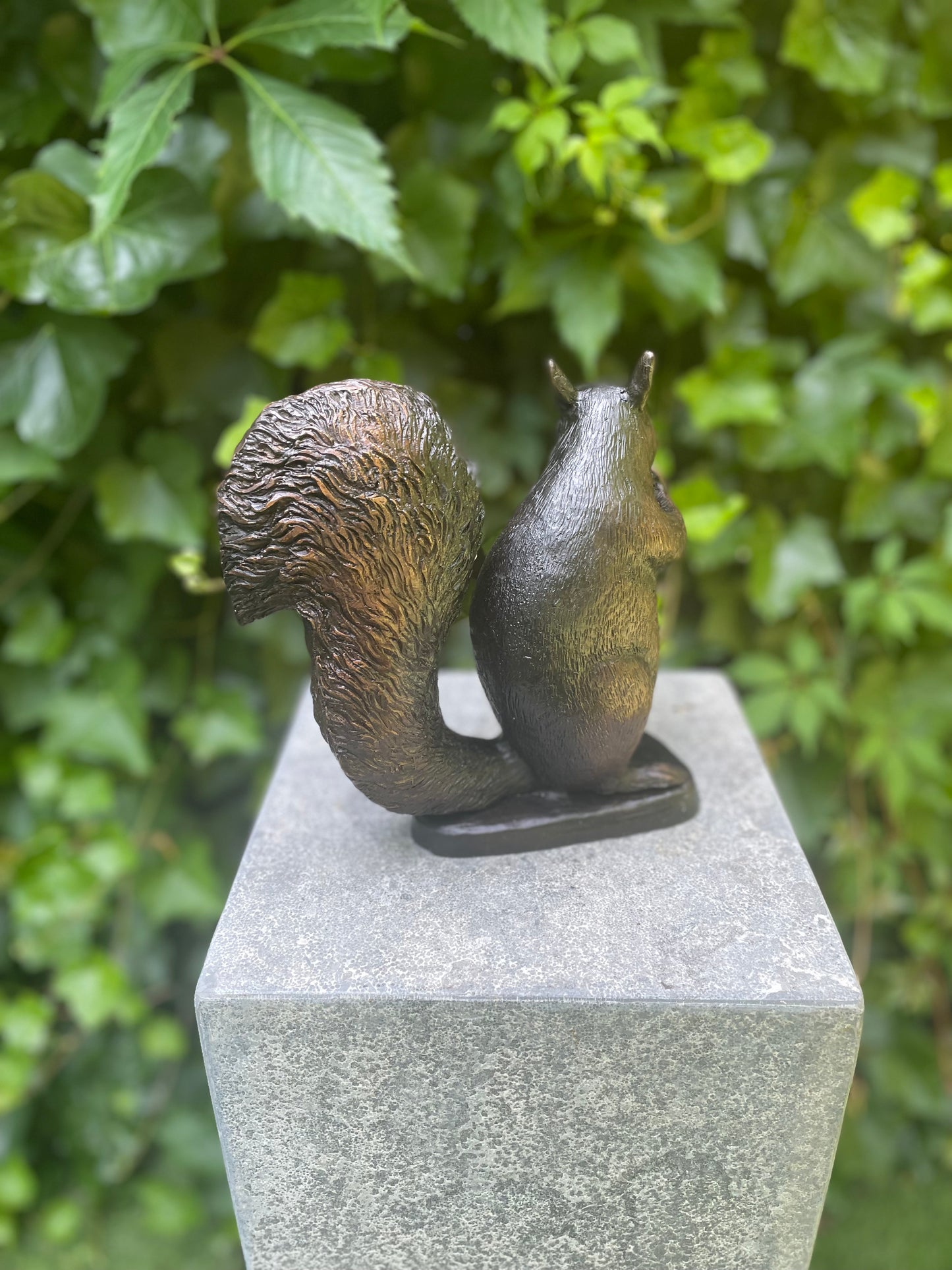 Sitting Squirrel – Bronze Sculpture. 22x17x21cm - 2.2Kg