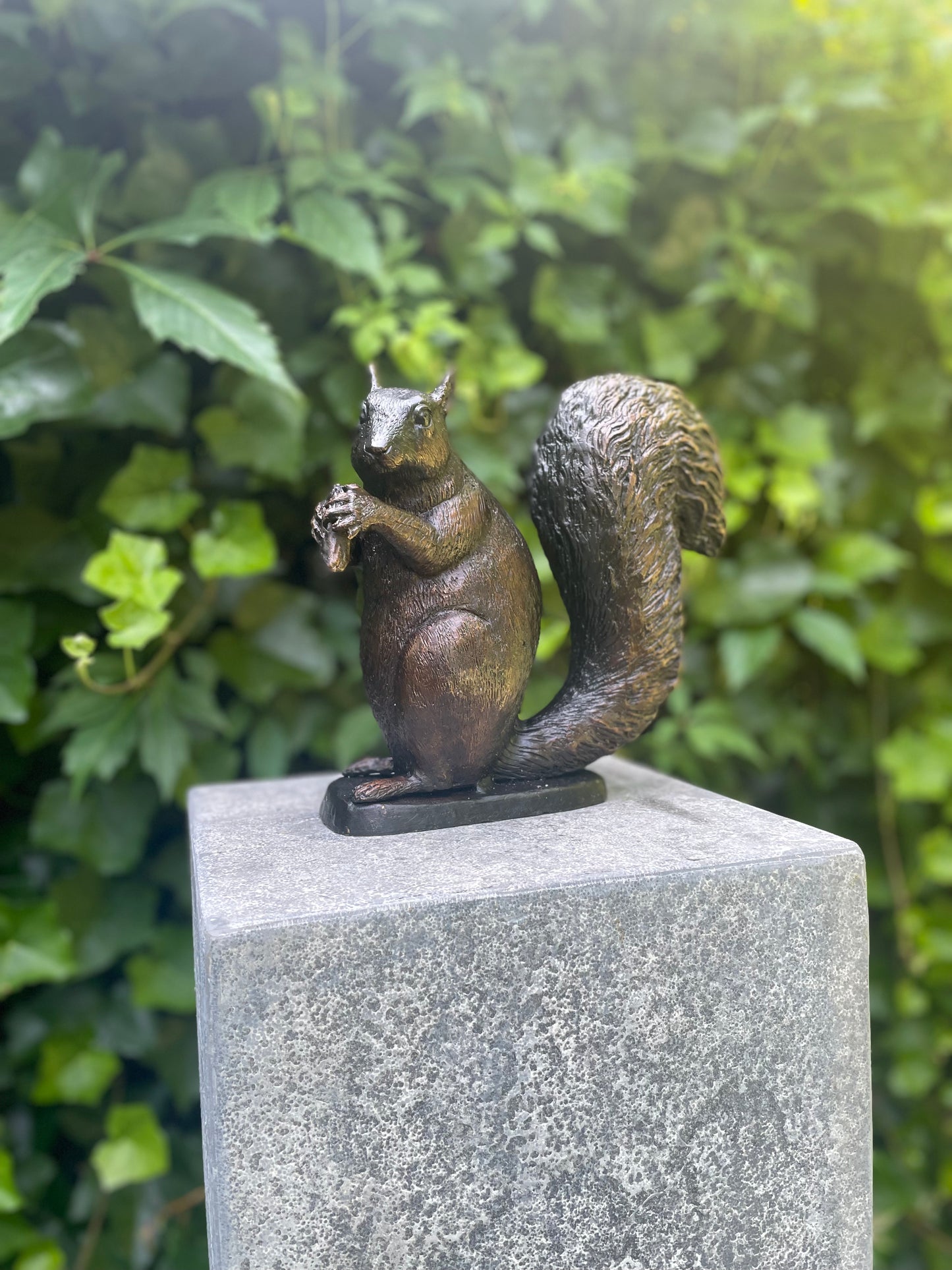 Sitting Squirrel – Bronze Sculpture. 22x17x21cm - 2.2Kg