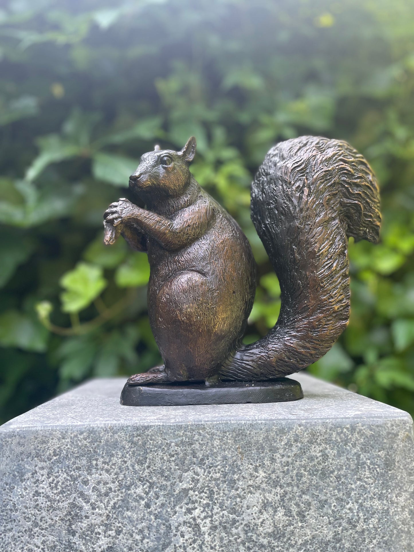 Sitting Squirrel – Bronze Sculpture. 22x17x21cm - 2.2Kg
