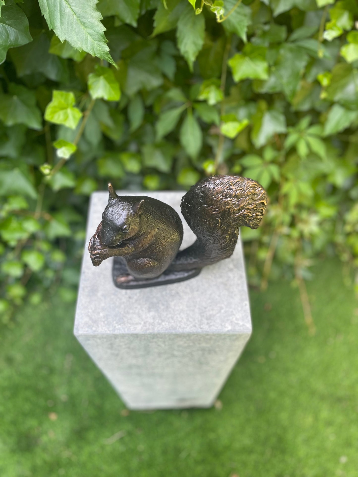 Sitting Squirrel – Bronze Sculpture. 22x17x21cm - 2.2Kg