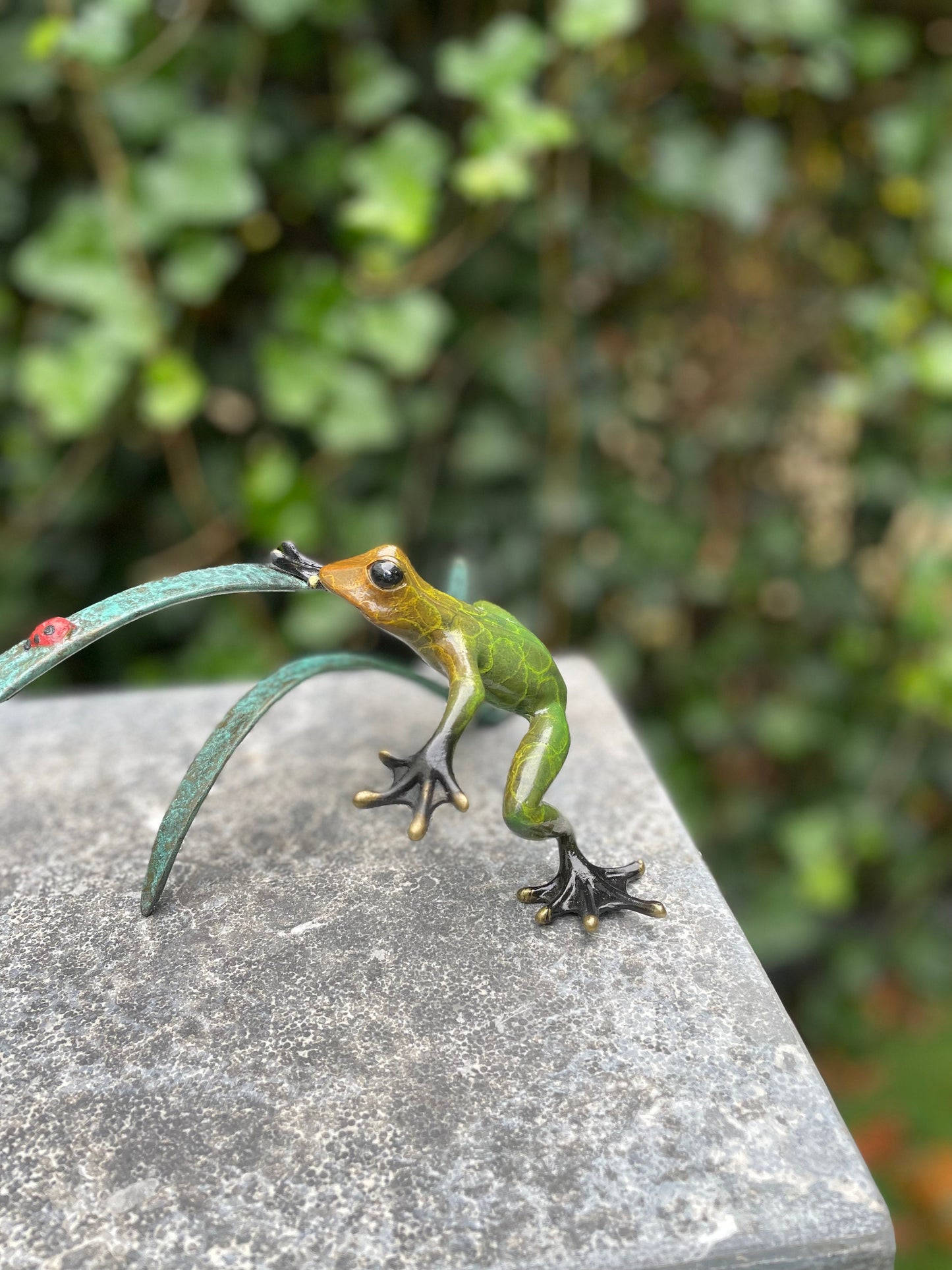 Frog and Ladybug – Bronze Sculpture. 24x12x10cm - 0.5Kg