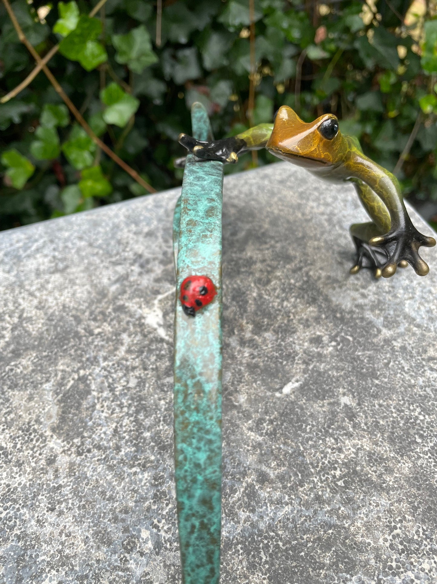 Frog and Ladybug – Bronze Sculpture. 24x12x10cm - 0.5Kg