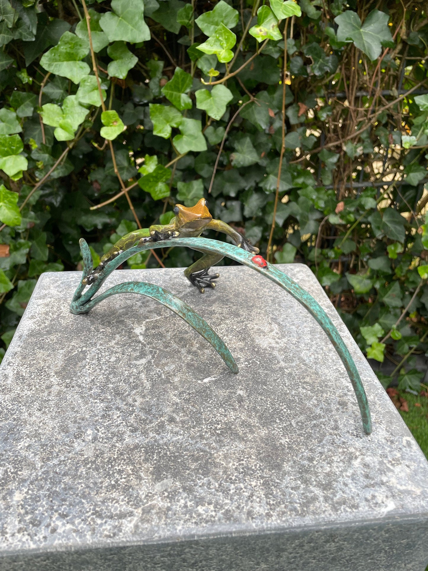 Frog and Ladybug – Bronze Sculpture. 24x12x10cm - 0.5Kg