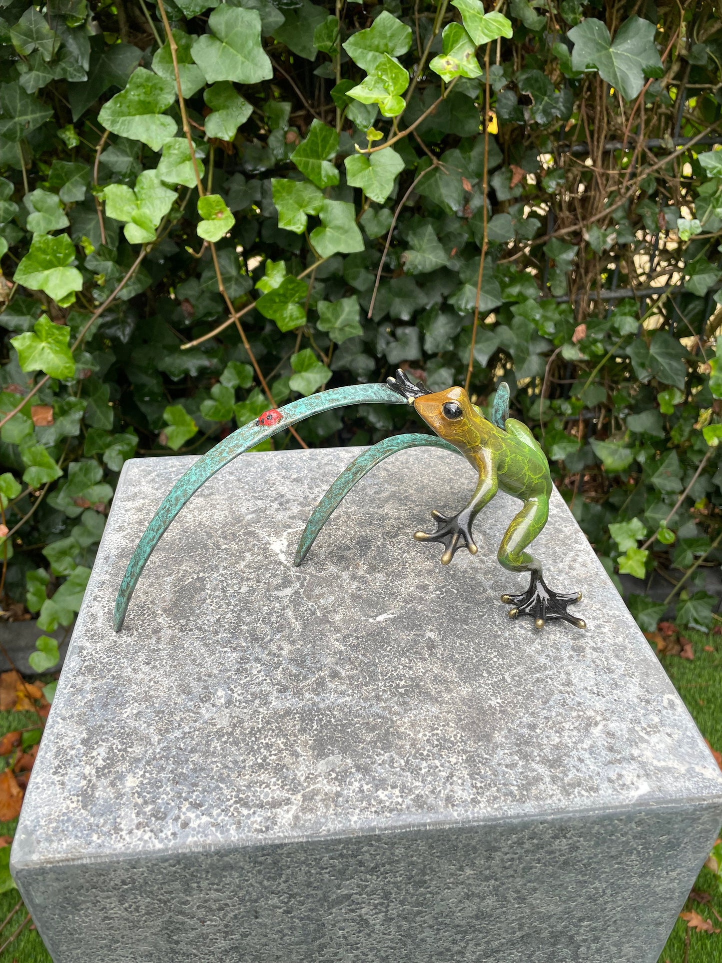 Frog and Ladybug – Bronze Sculpture. 24x12x10cm - 0.5Kg
