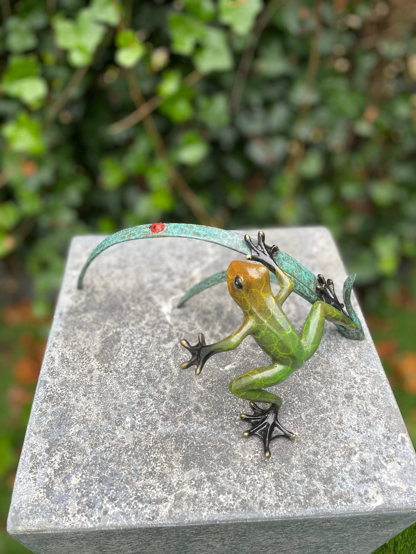 Frog and Ladybug – Bronze Sculpture. 24x12x10cm - 0.5Kg