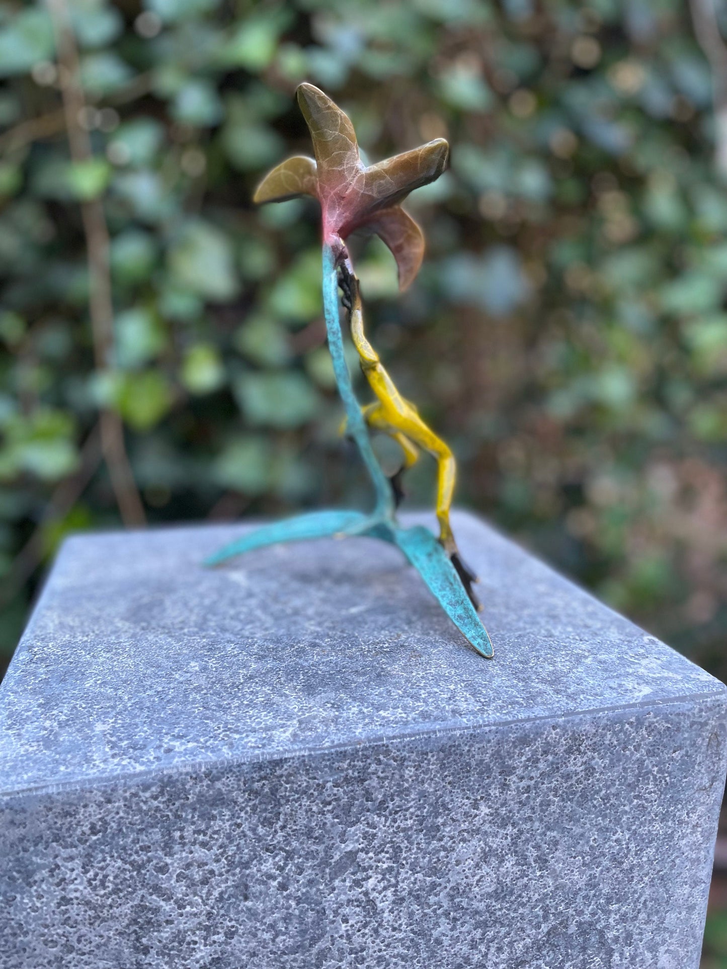 Tropical Frog and Flower – Bronze Sculpture. 13x9x20cm - 0.5Kg