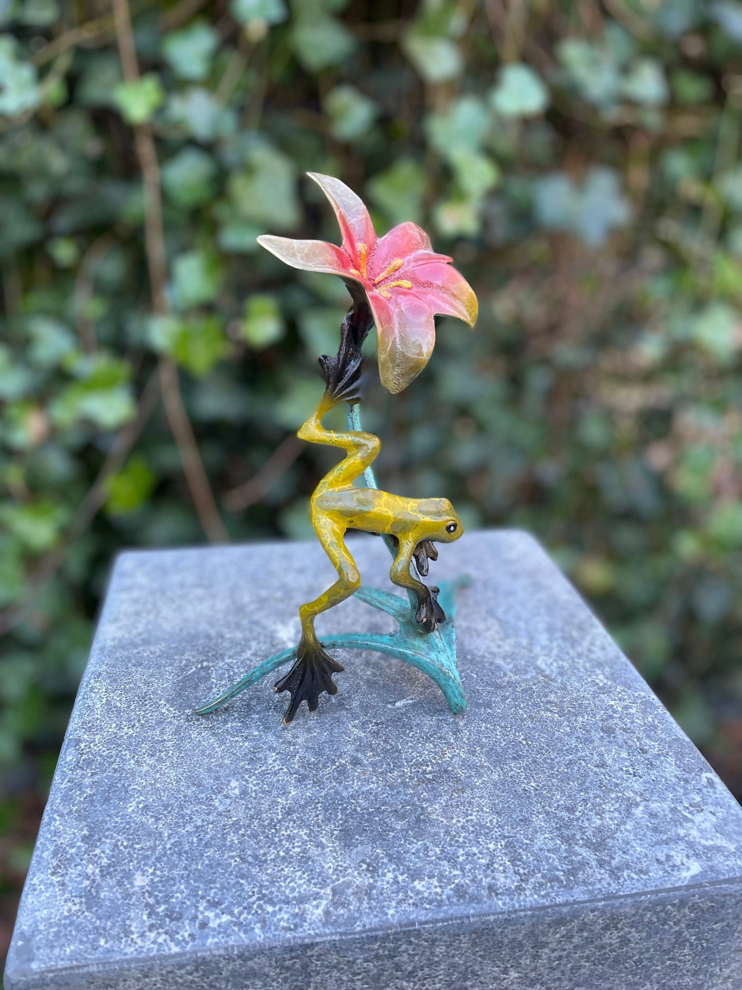 Tropical Frog and Flower – Bronze Sculpture. 13x9x20cm - 0.5Kg