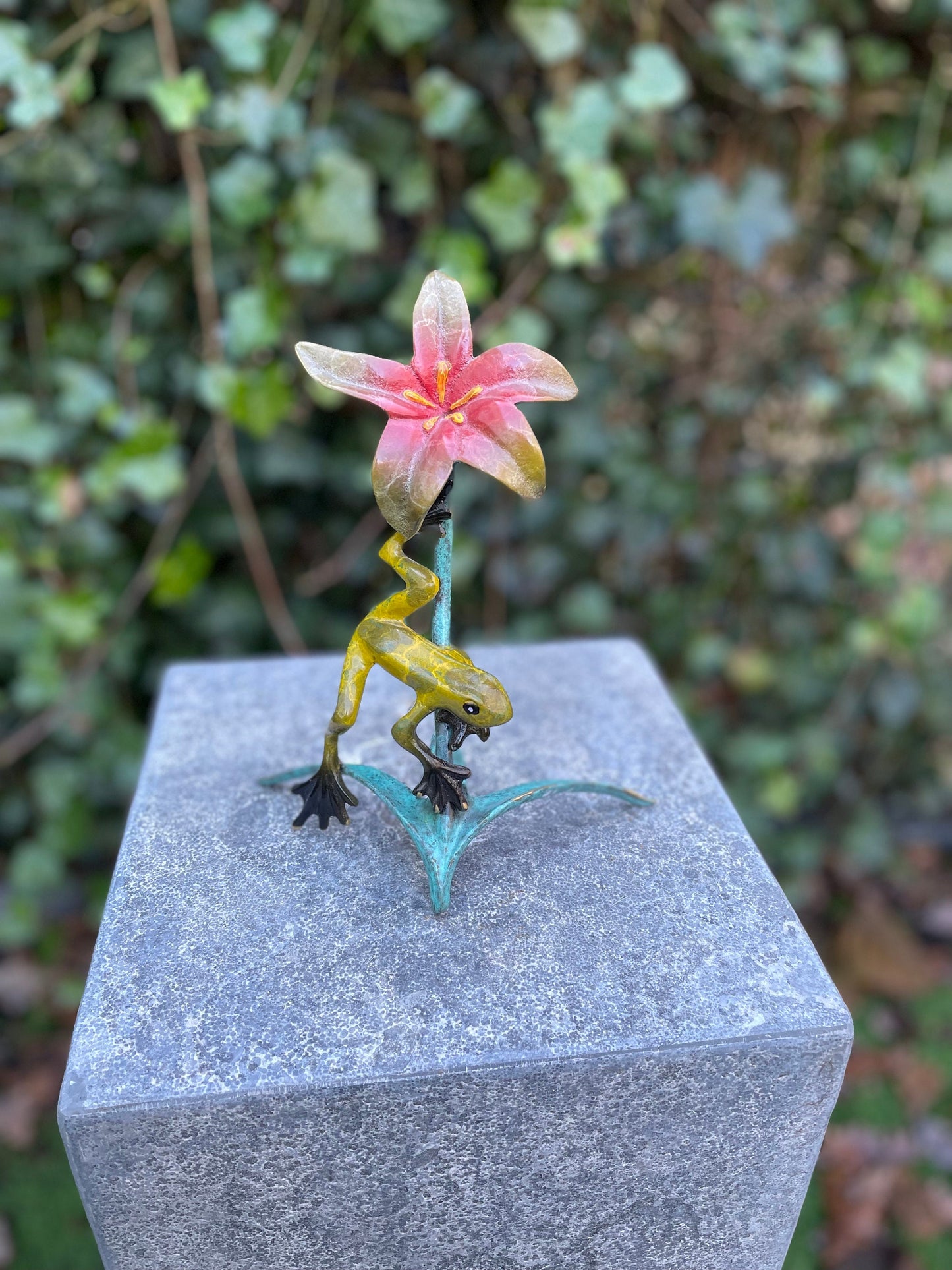Tropical Frog and Flower – Bronze Sculpture. 13x9x20cm - 0.5Kg