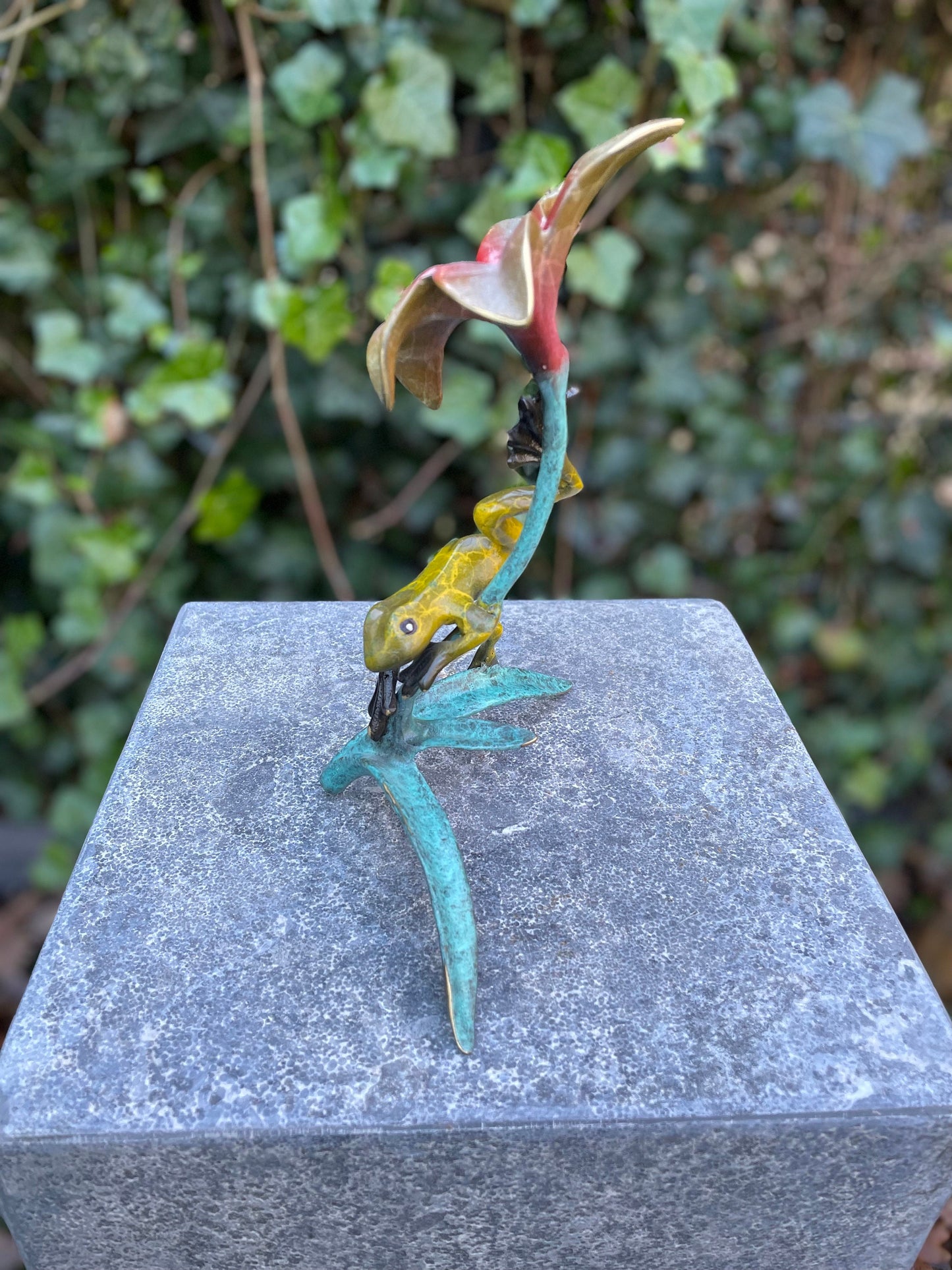 Tropical Frog and Flower – Bronze Sculpture. 13x9x20cm - 0.5Kg