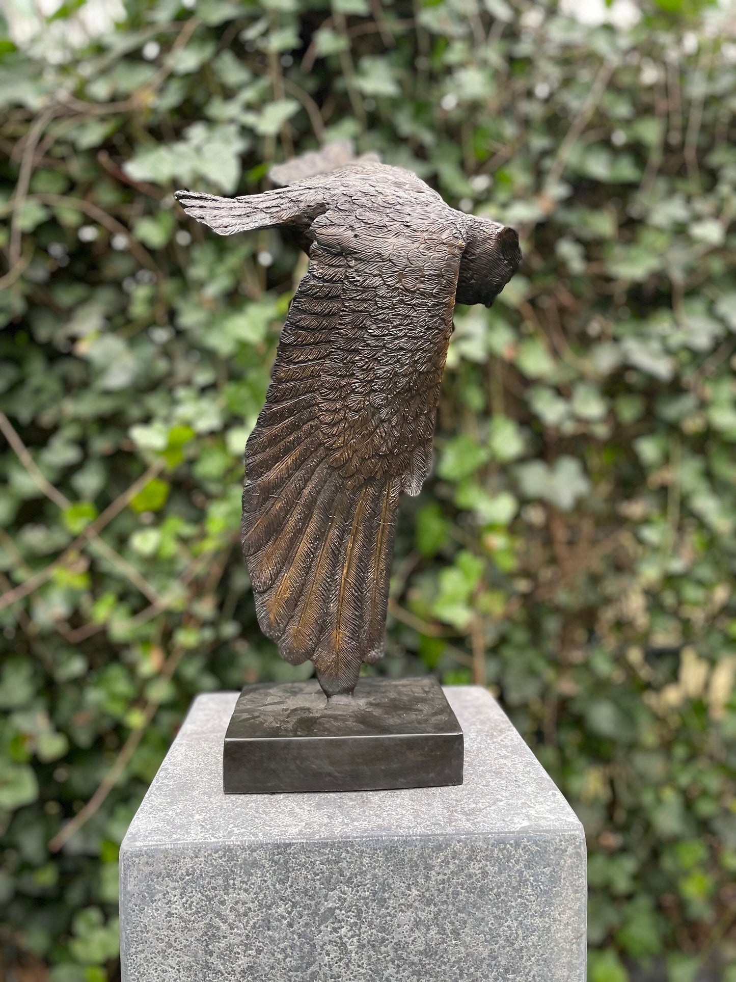 Soaring Owl – Bronze Sculpture. 35x24x48cm