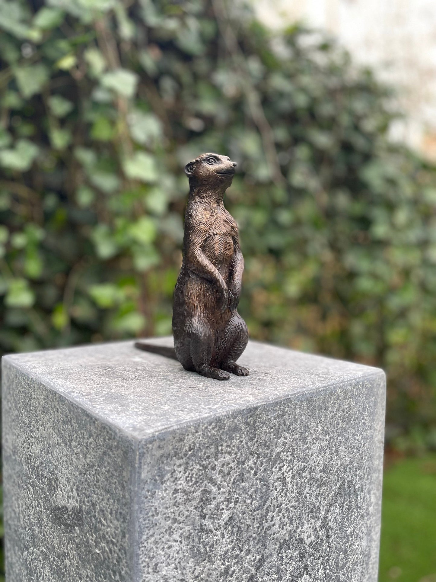 Alert Meerkat – Bronze Sculpture. 17x6x18cm