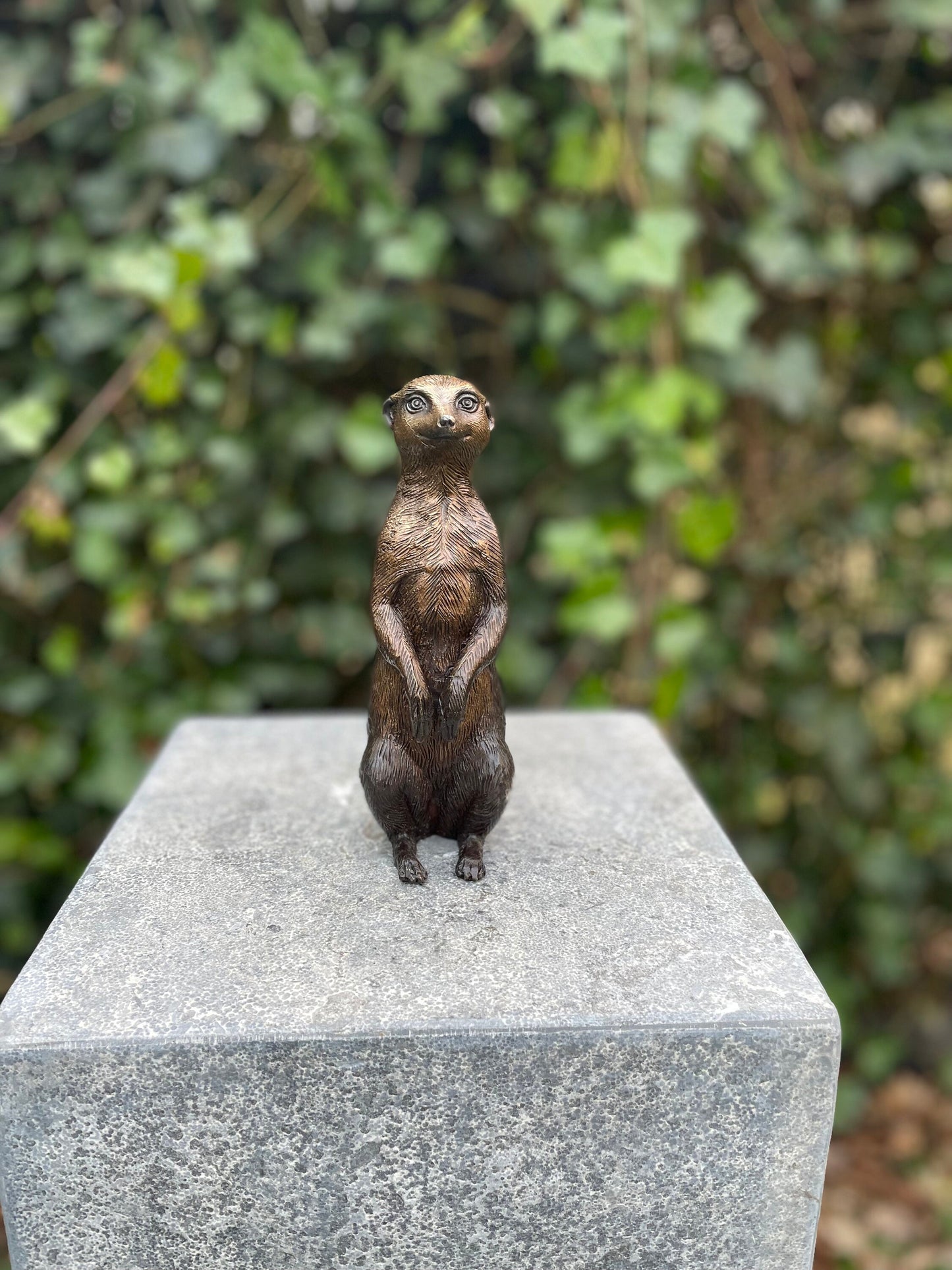 Alert Meerkat – Bronze Sculpture. 17x6x18cm