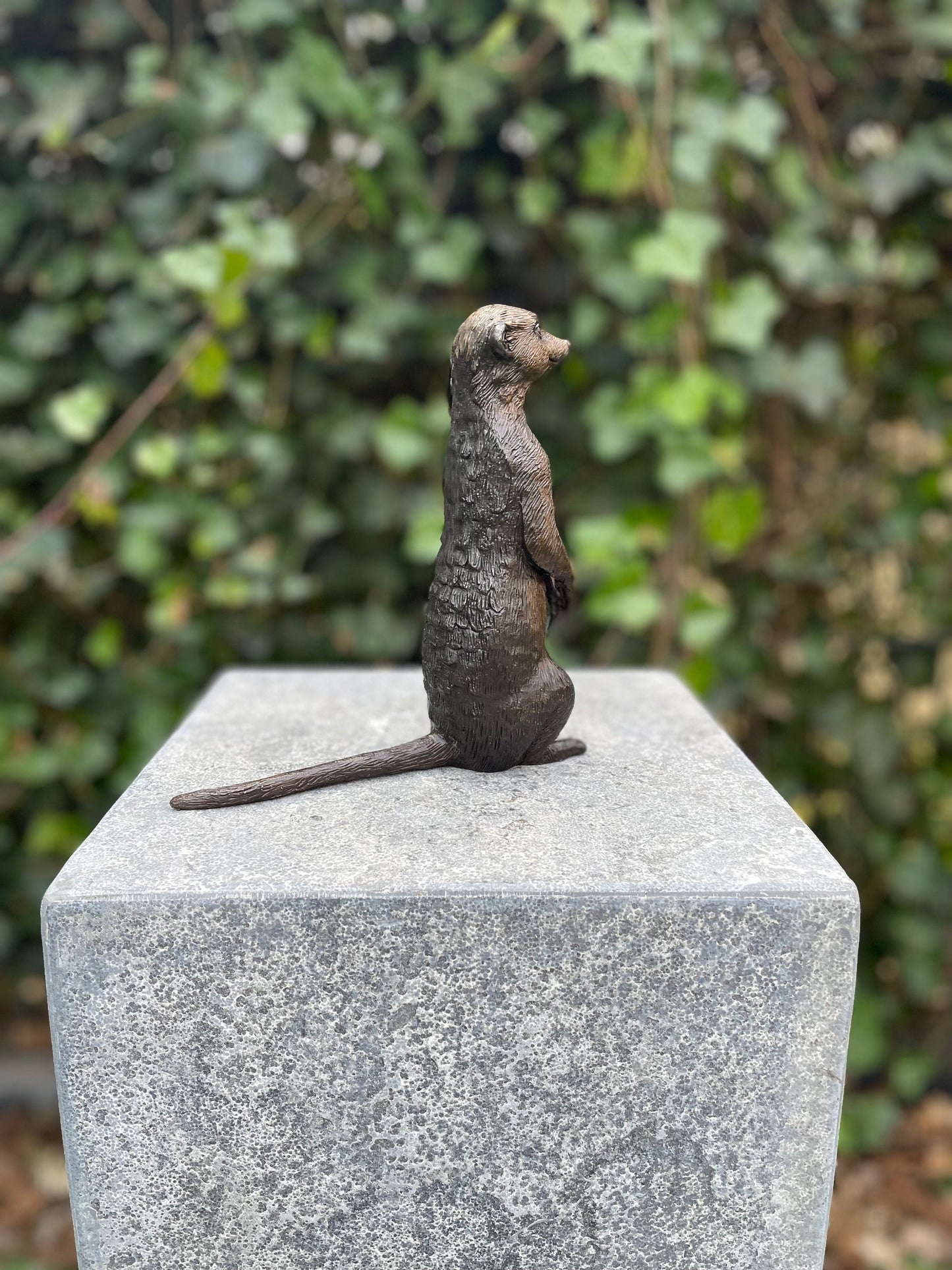 Alert Meerkat – Bronze Sculpture. 17x6x18cm