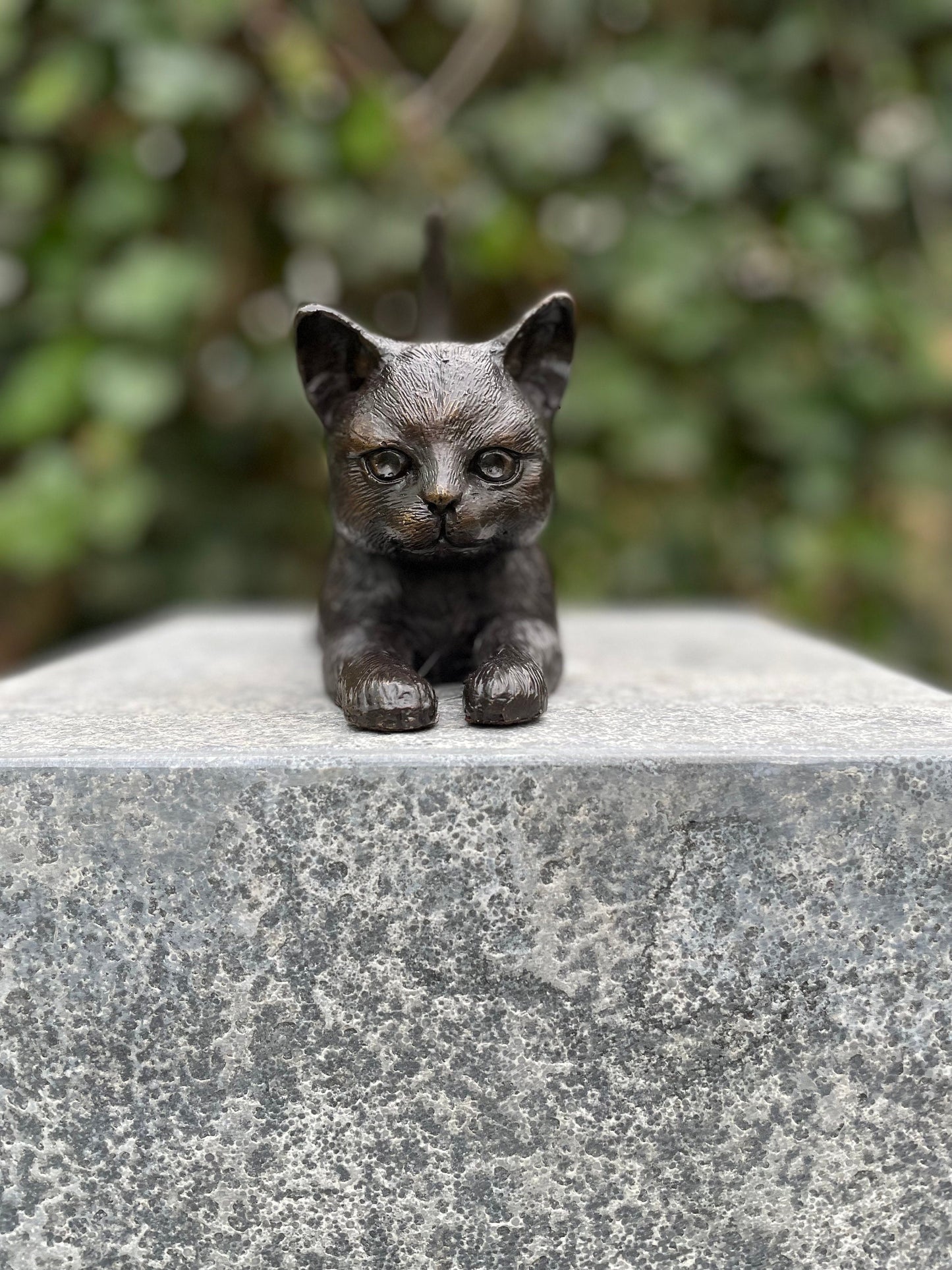 Stretching Kitten – Bronze Sculpture. 18x7x16cm - 1Kg