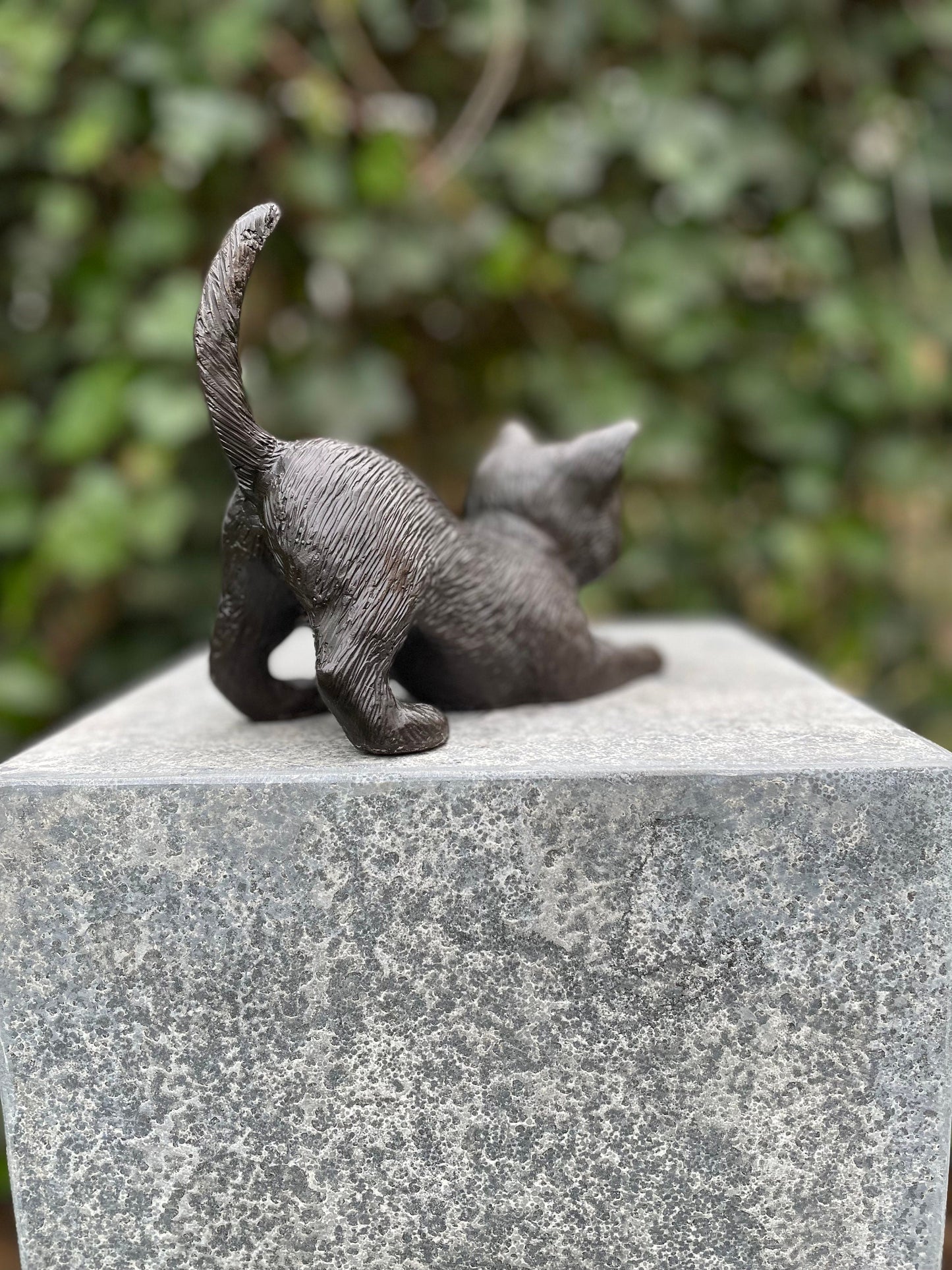 Stretching Kitten – Bronze Sculpture. 18x7x16cm - 1Kg