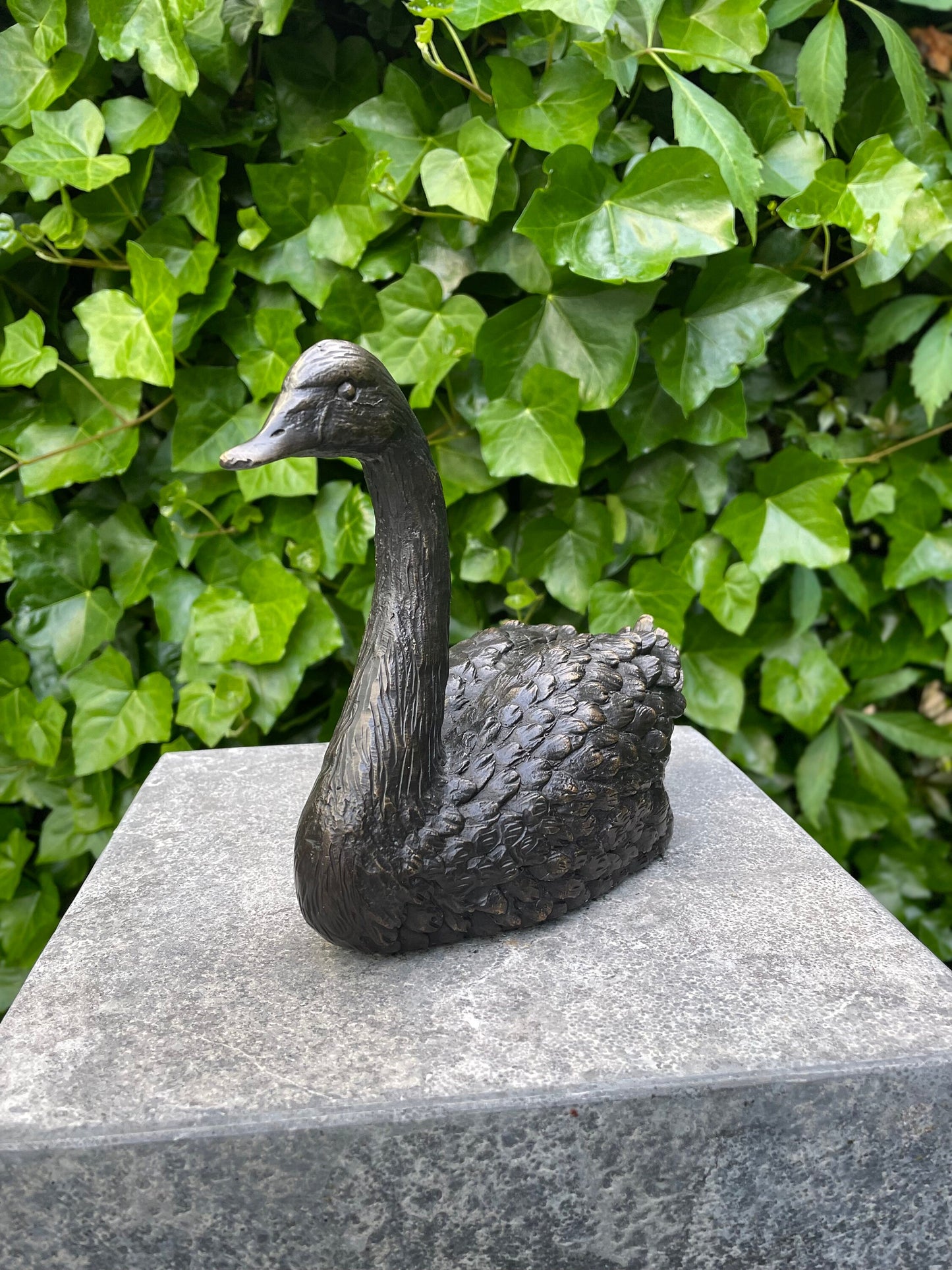 Resting Swan – Bronze Sculpture. 22x9x16cm - 1.2Kg