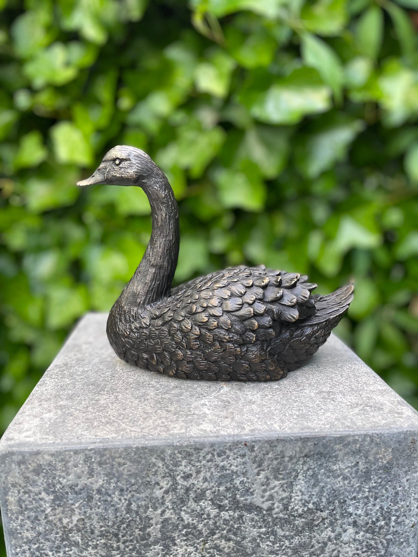 Resting Swan – Bronze Sculpture. 22x9x16cm - 1.2Kg