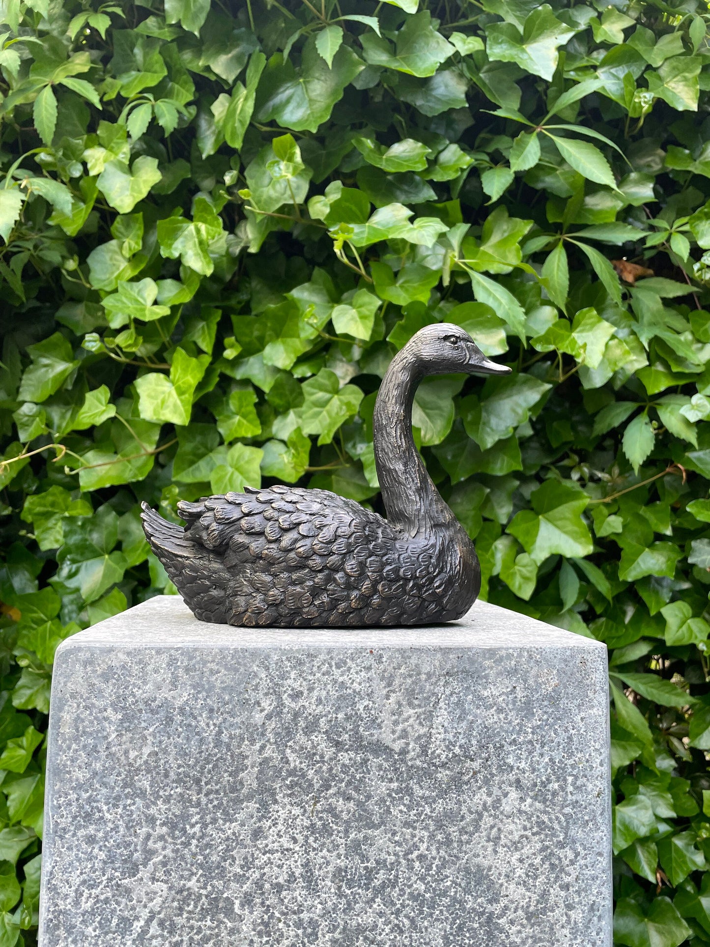 Resting Swan – Bronze Sculpture. 22x9x16cm - 1.2Kg