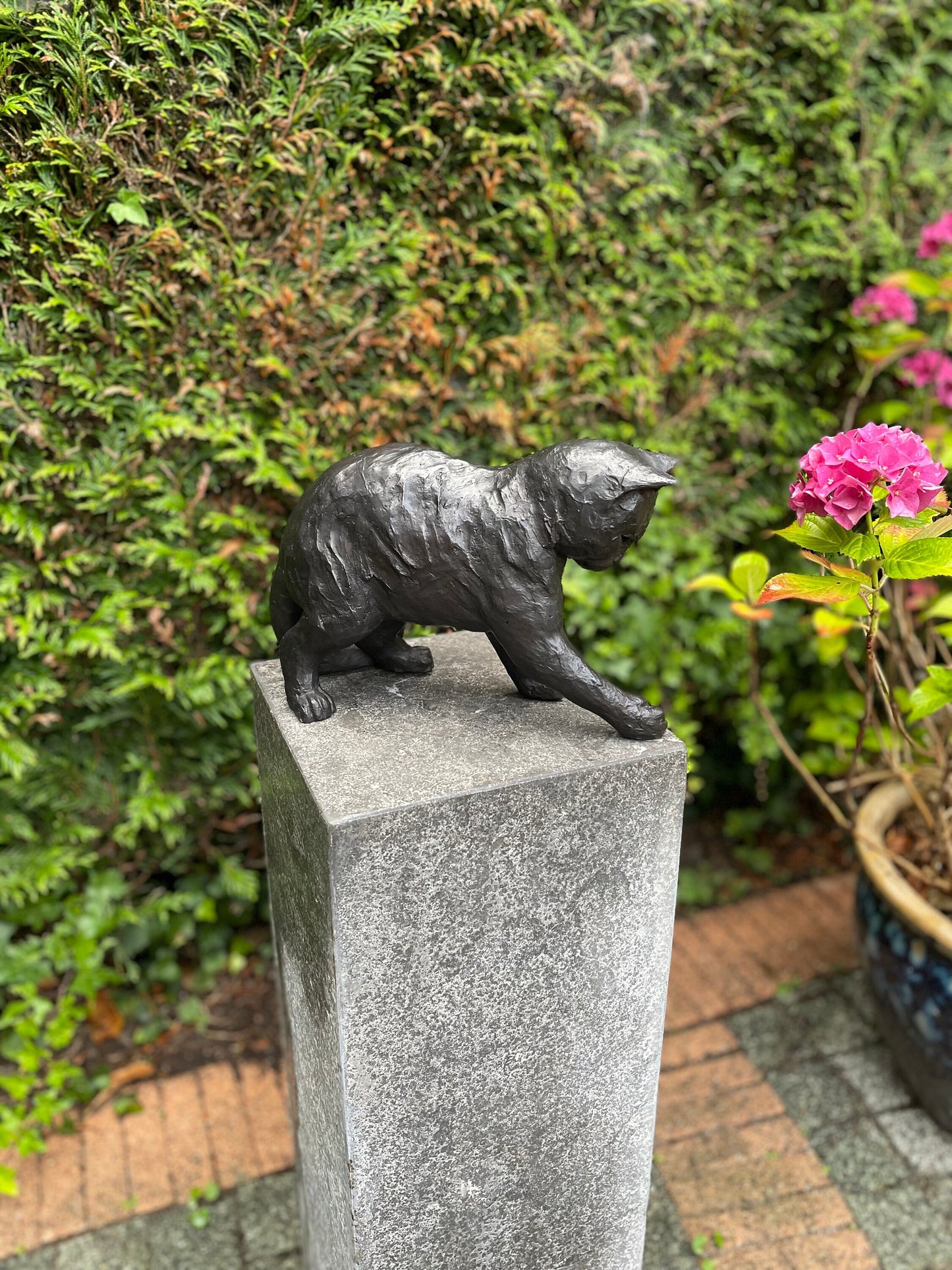 Curious Kitten – Bronze Sculpture. 21x13x20cm - 3.1Kg