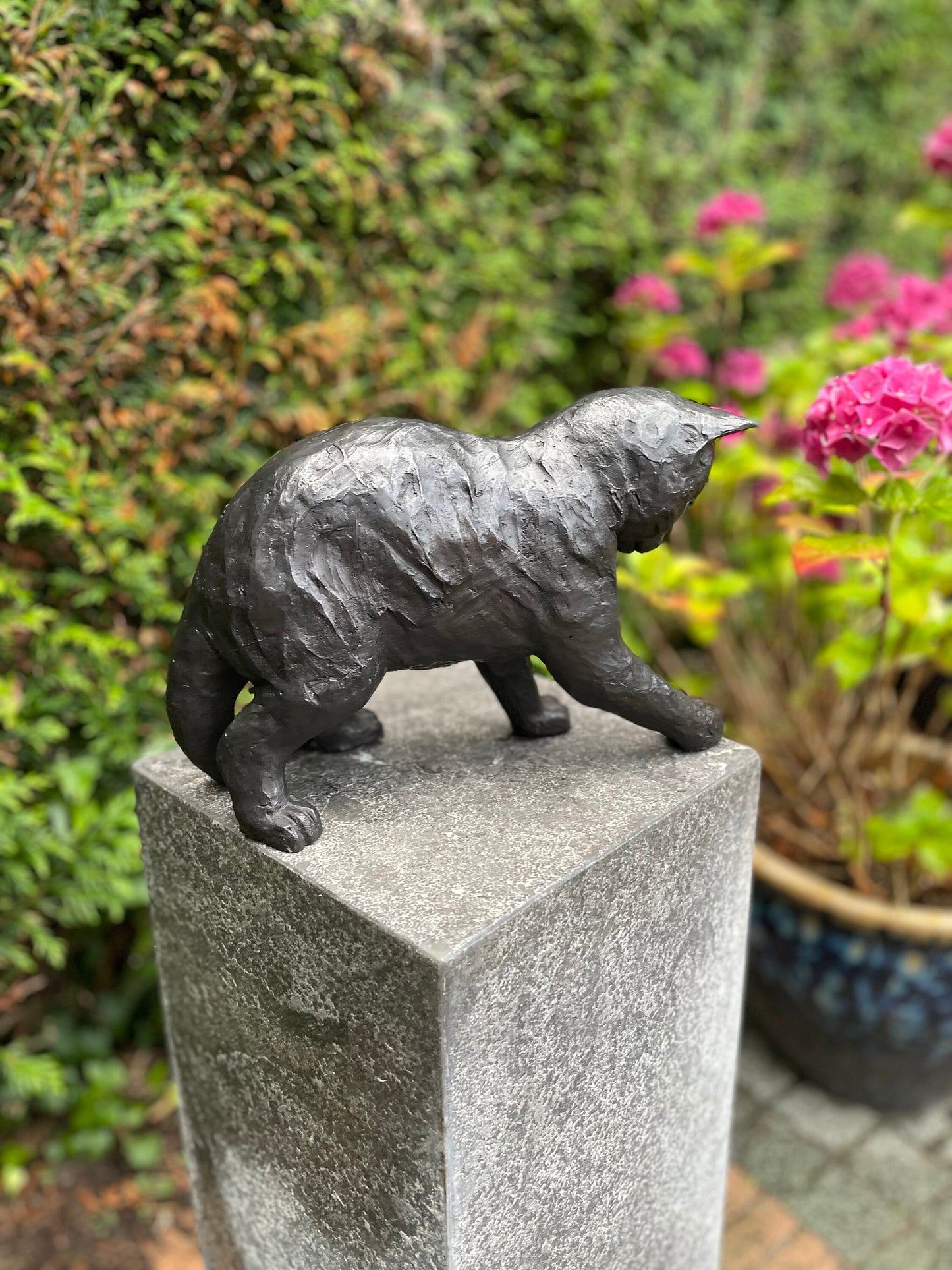 Curious Kitten – Bronze Sculpture. 21x13x20cm - 3.1Kg