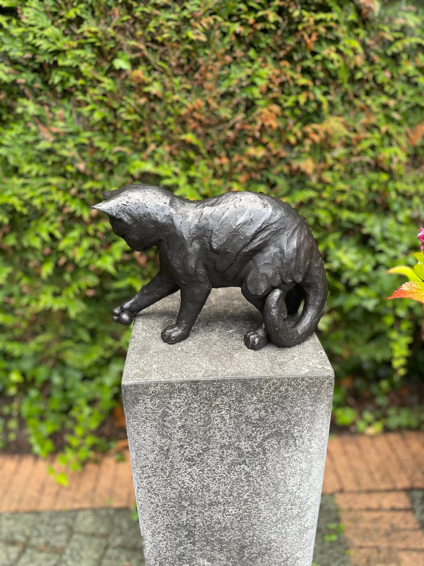 Curious Kitten – Bronze Sculpture. 21x13x20cm - 3.1Kg