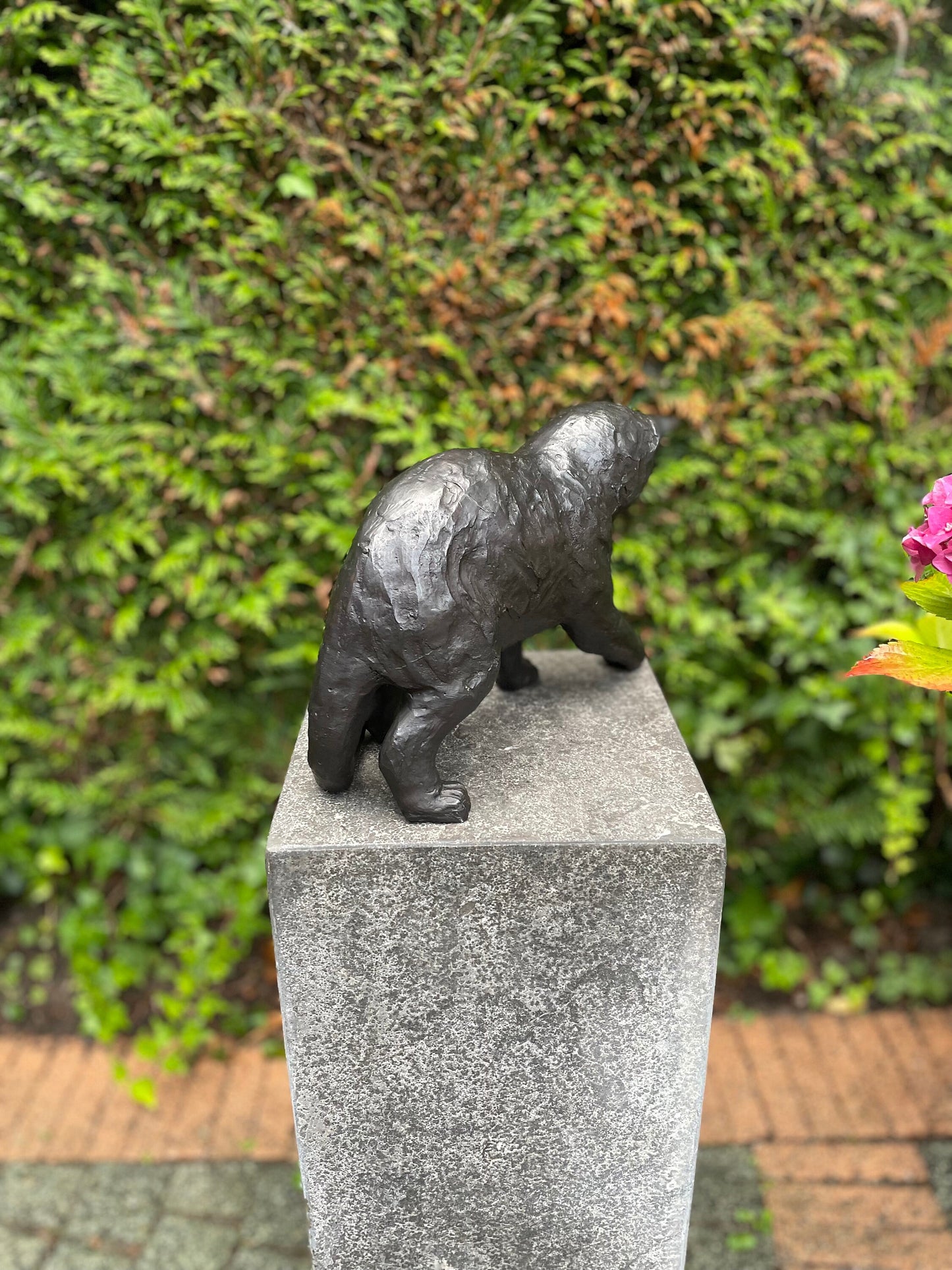 Curious Kitten – Bronze Sculpture. 21x13x20cm - 3.1Kg