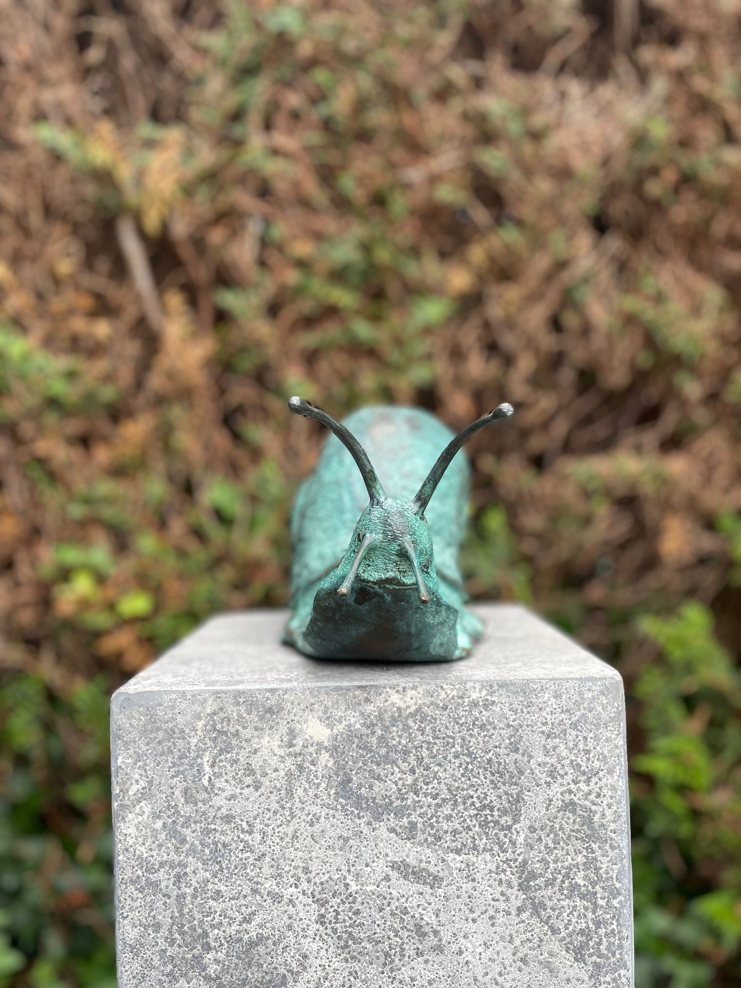 Curious Snail – Bronze Sculpture. 23x13x47cm - 2.5Kg