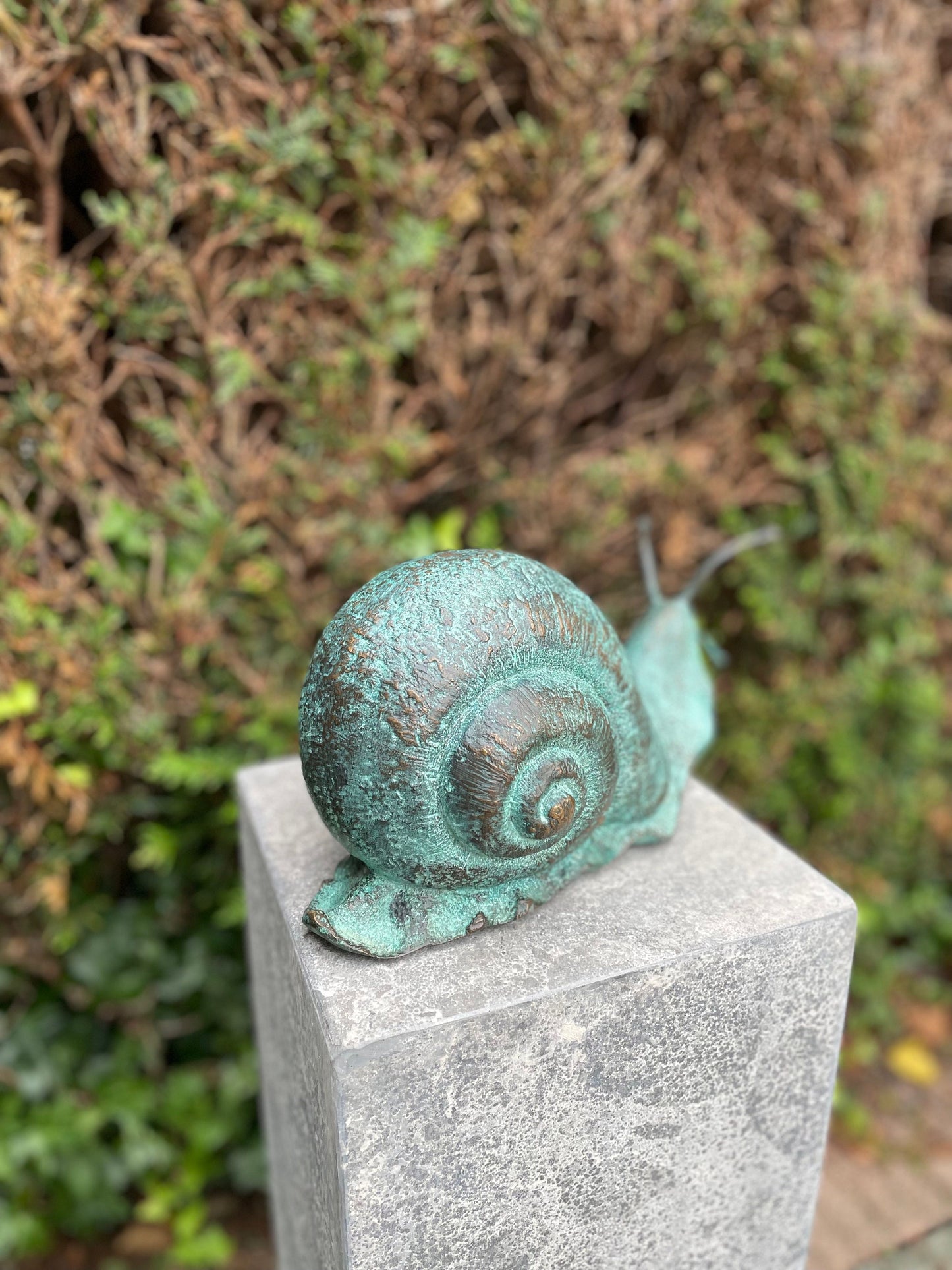 Curious Snail – Bronze Sculpture. 23x13x47cm - 2.5Kg