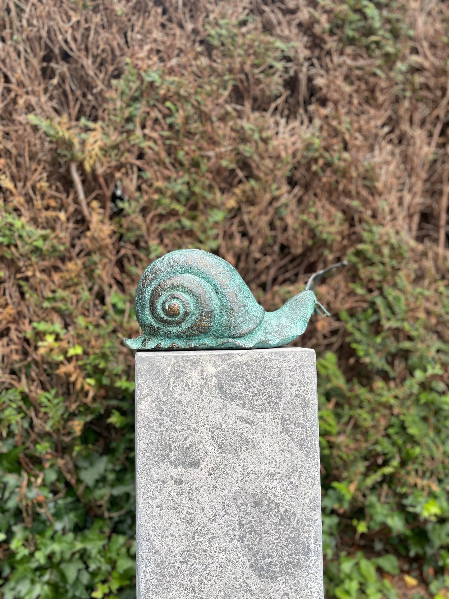 Curious Snail – Bronze Sculpture. 23x13x47cm - 2.5Kg