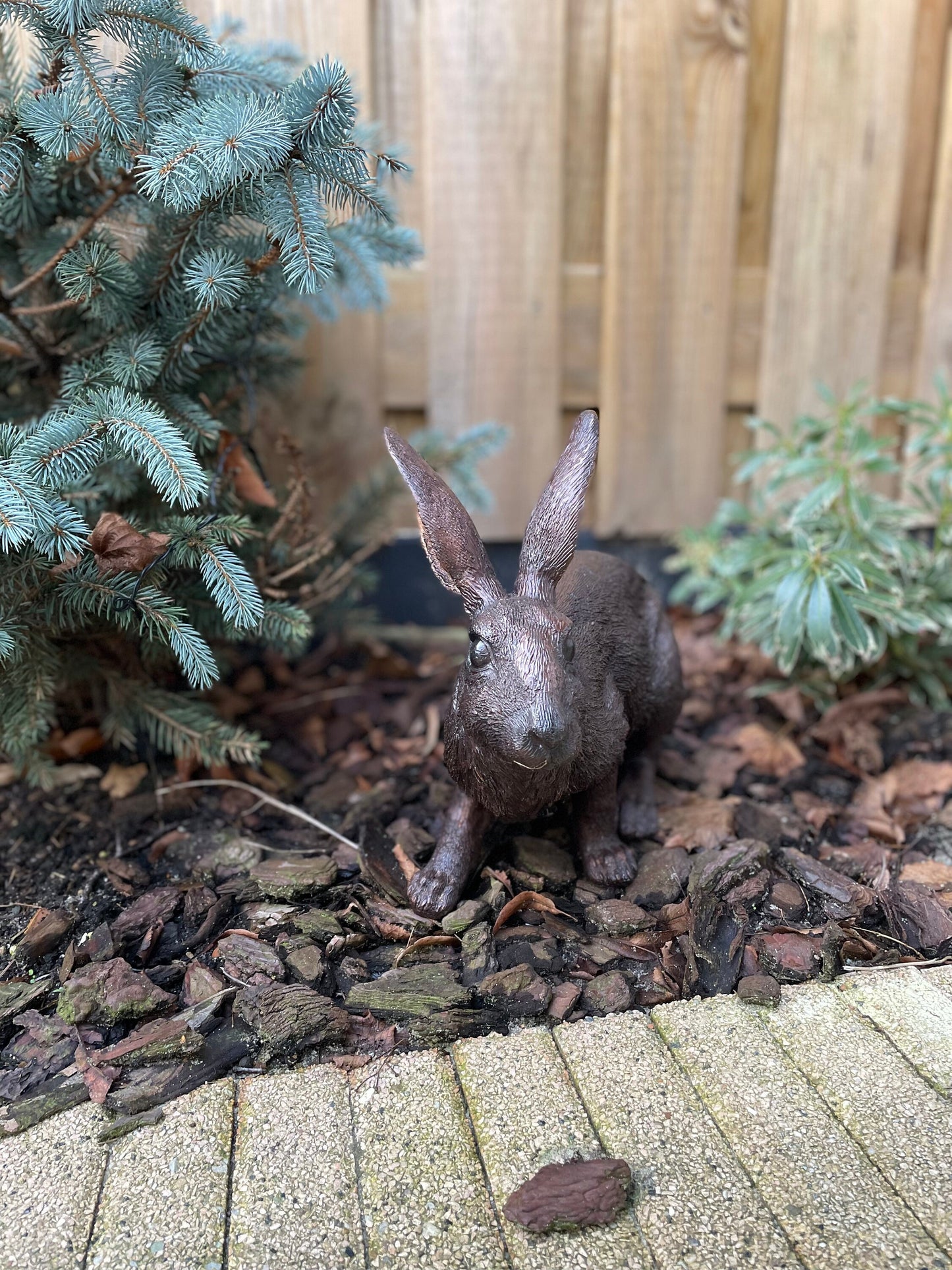 Alert Rabbit – Bronze Sculpture. 34x16x28cm - 4Kg
