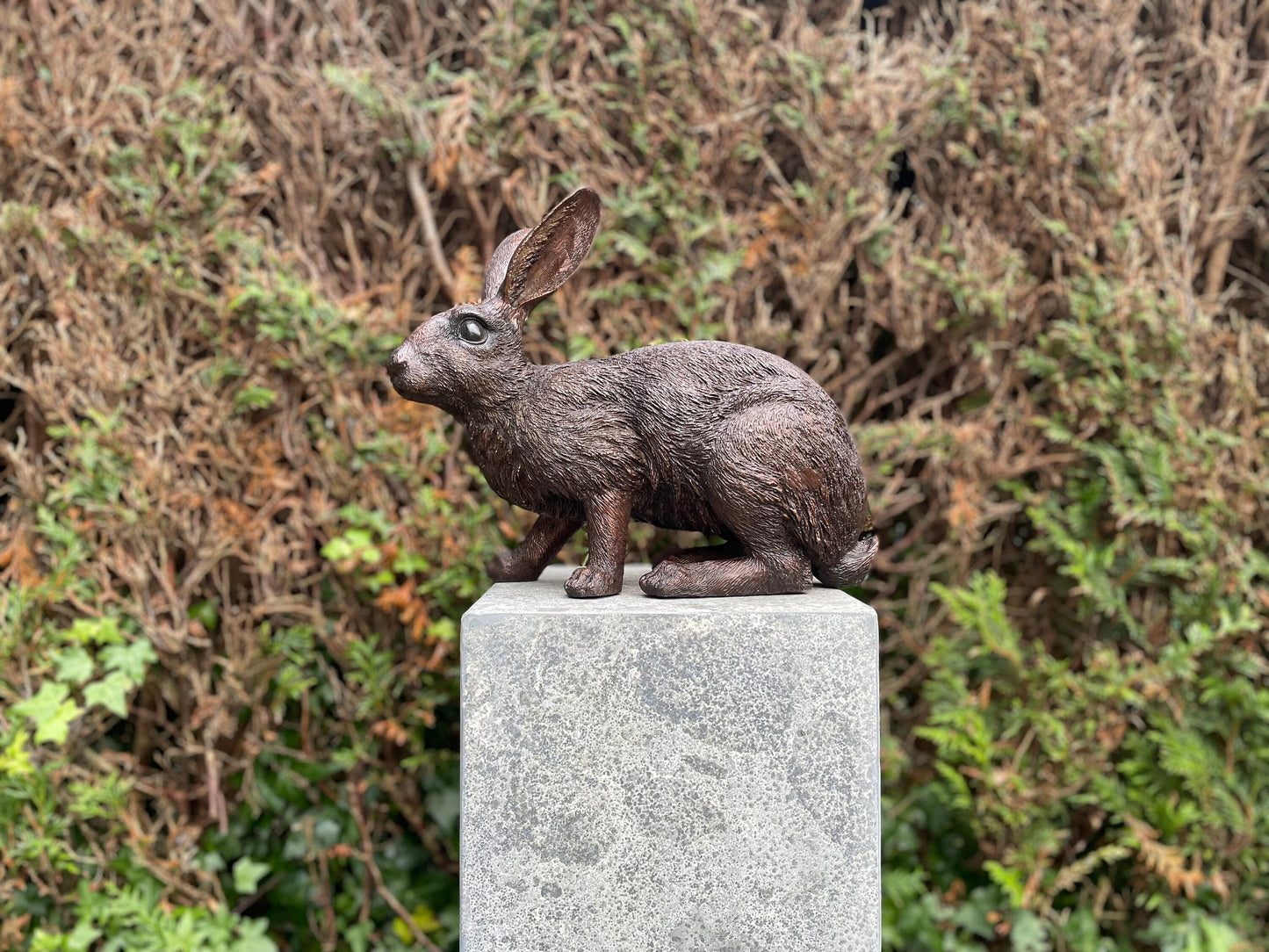 Alert Rabbit – Bronze Sculpture. 34x16x28cm - 4Kg