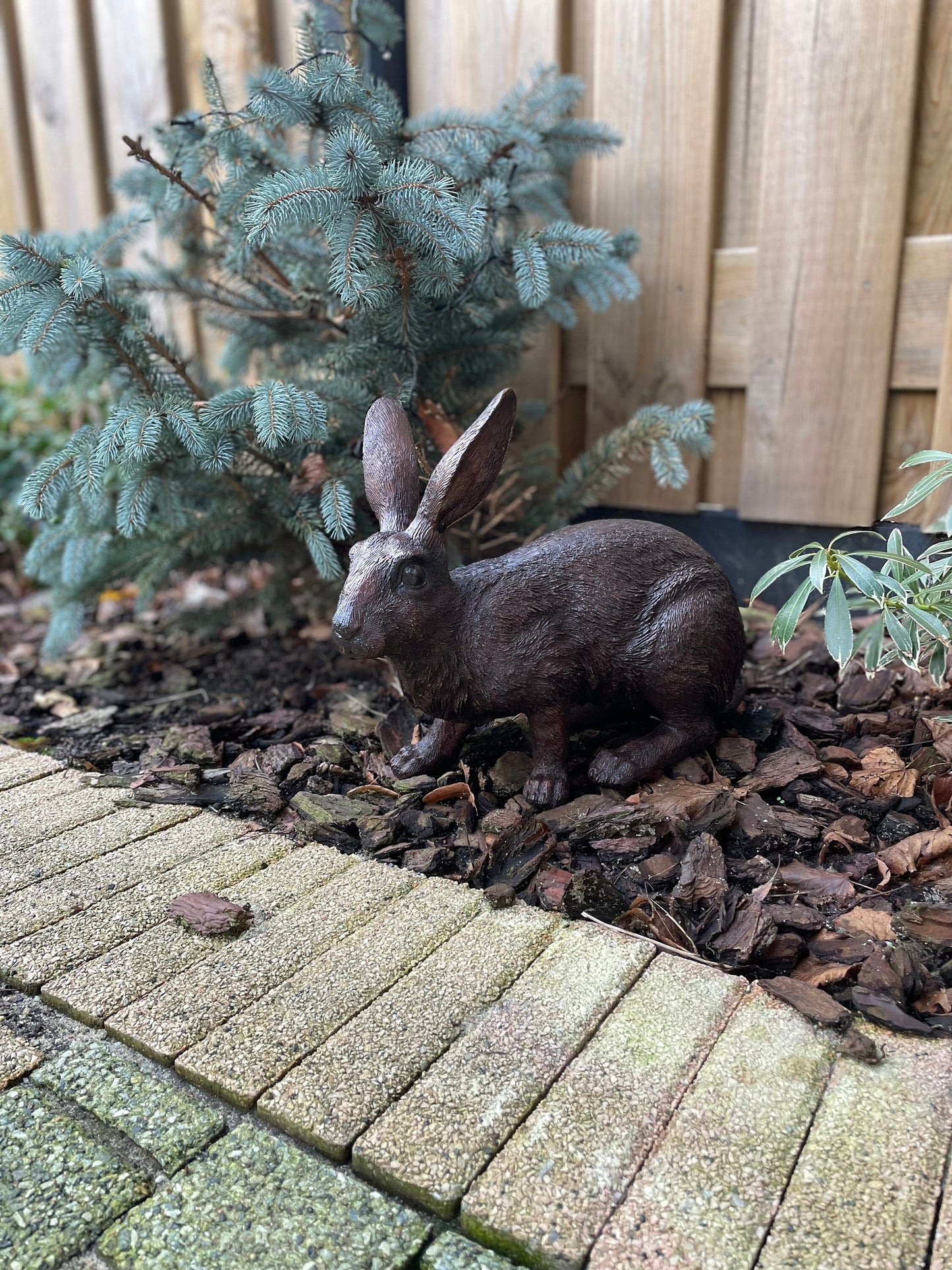 Alert Rabbit – Bronze Sculpture. 34x16x28cm - 4Kg