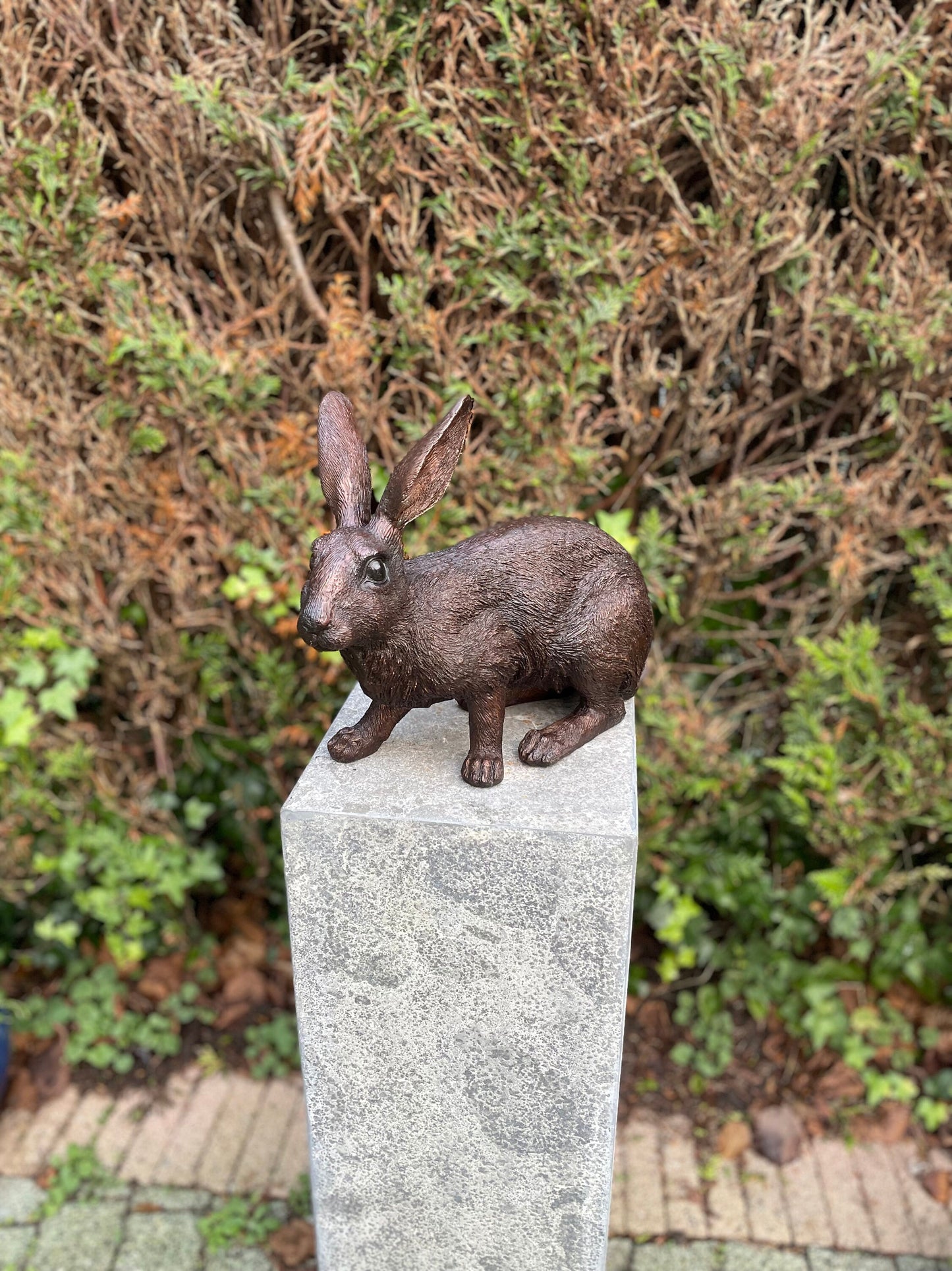 Alert Rabbit – Bronze Sculpture. 34x16x28cm - 4Kg