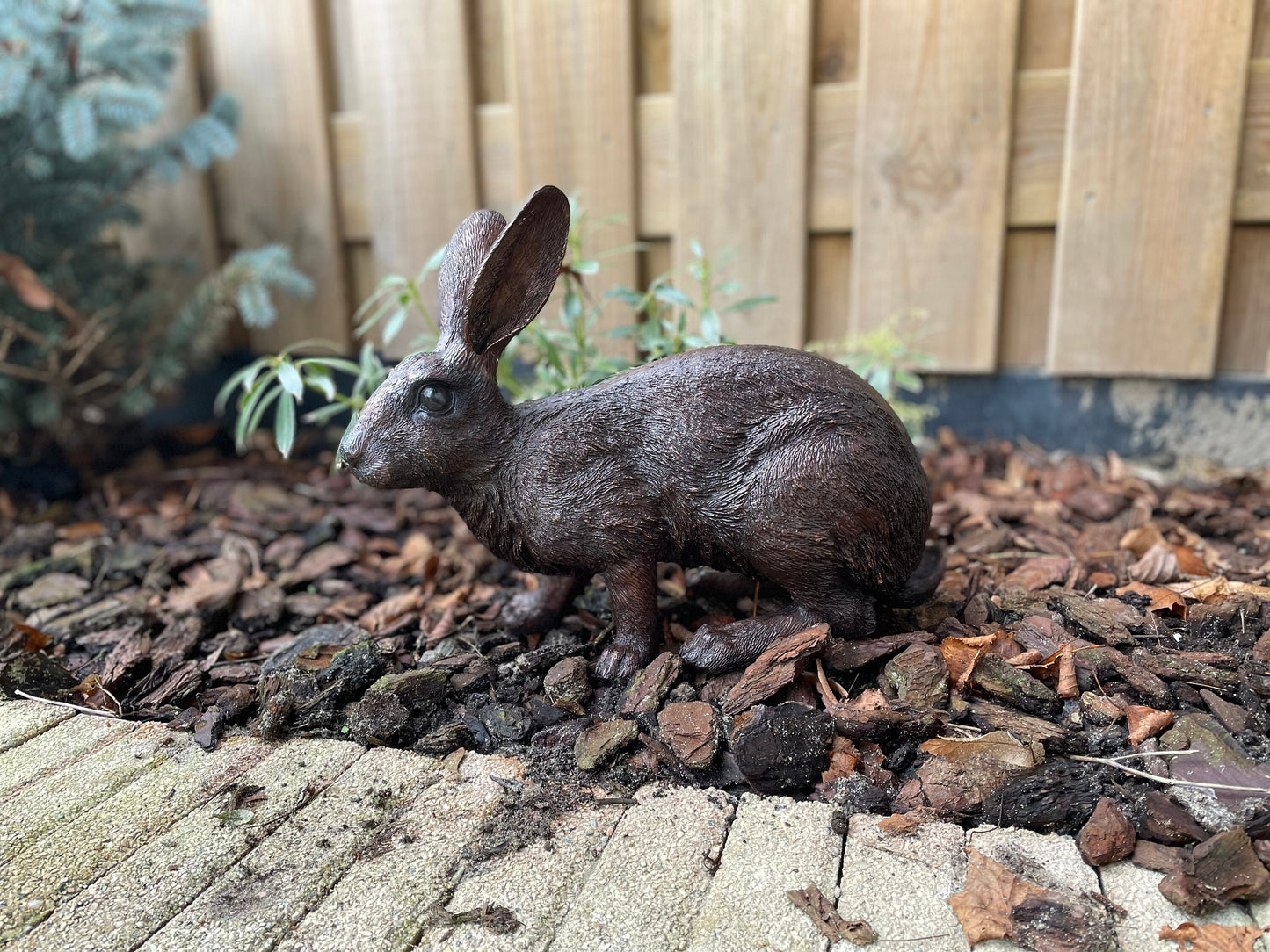 Alert Rabbit – Bronze Sculpture. 34x16x28cm - 4Kg