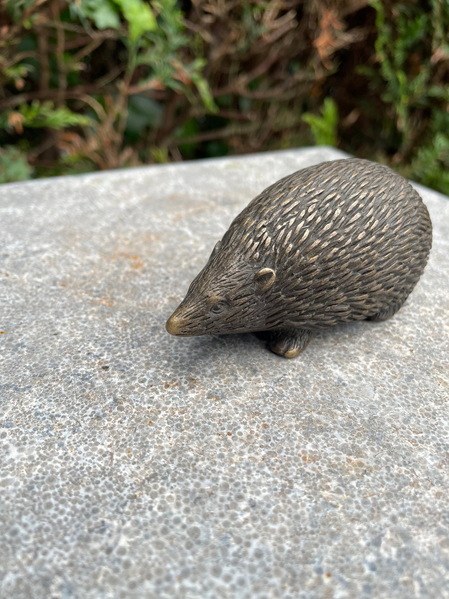 Hedgehog – Bronze Sculpture. 10x5x5cm