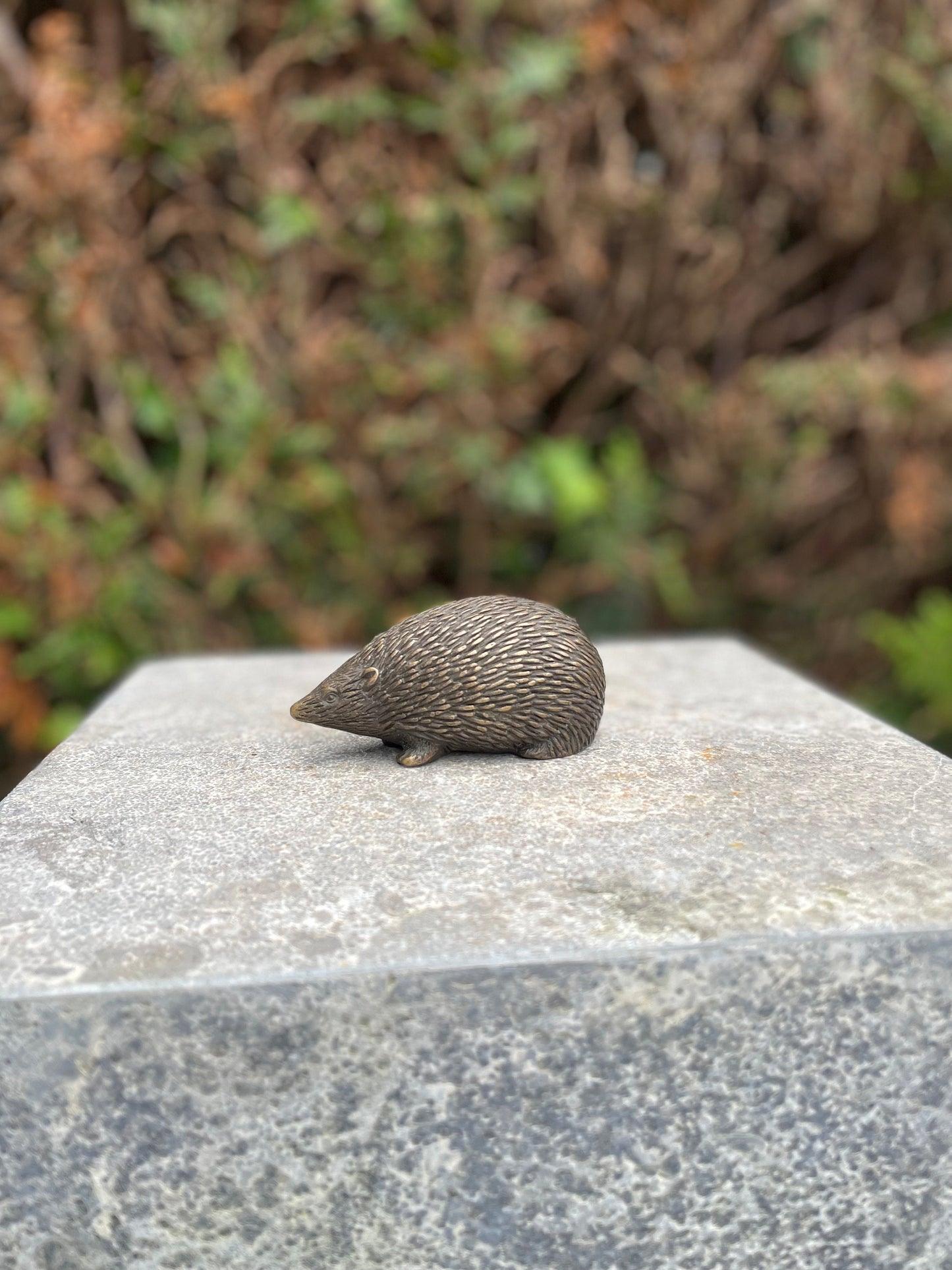Hedgehog – Bronze Sculpture. 10x5x5cm