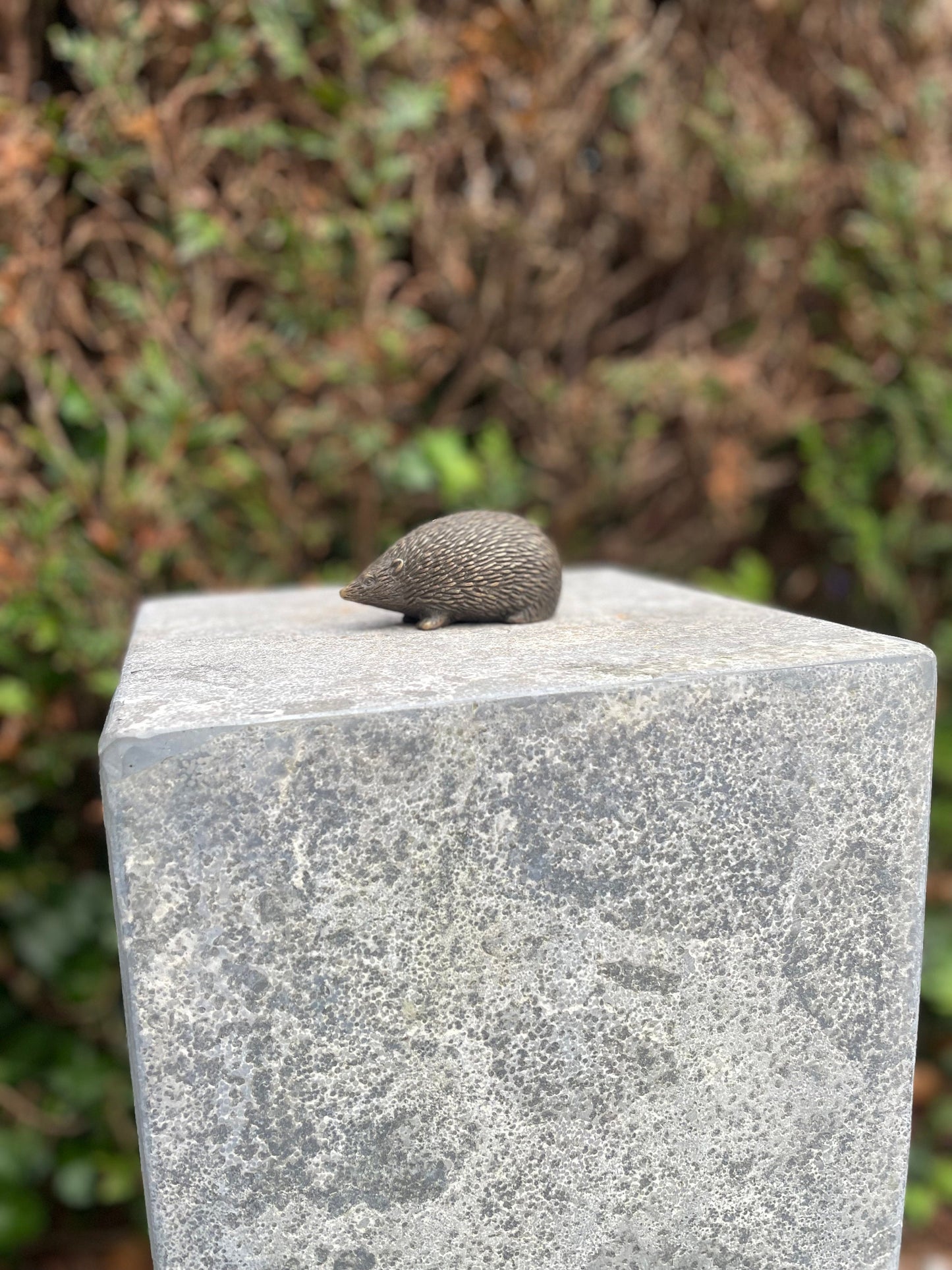 Hedgehog – Bronze Sculpture. 10x5x5cm