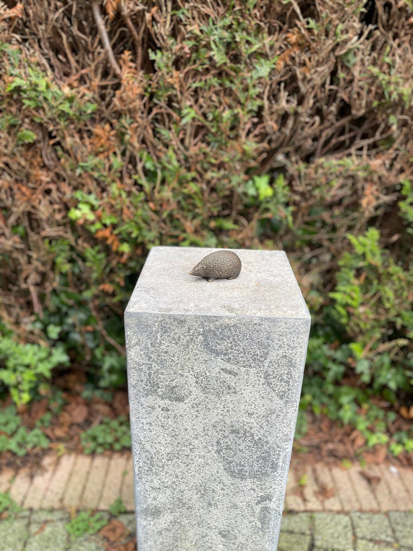 Hedgehog – Bronze Sculpture. 10x5x5cm