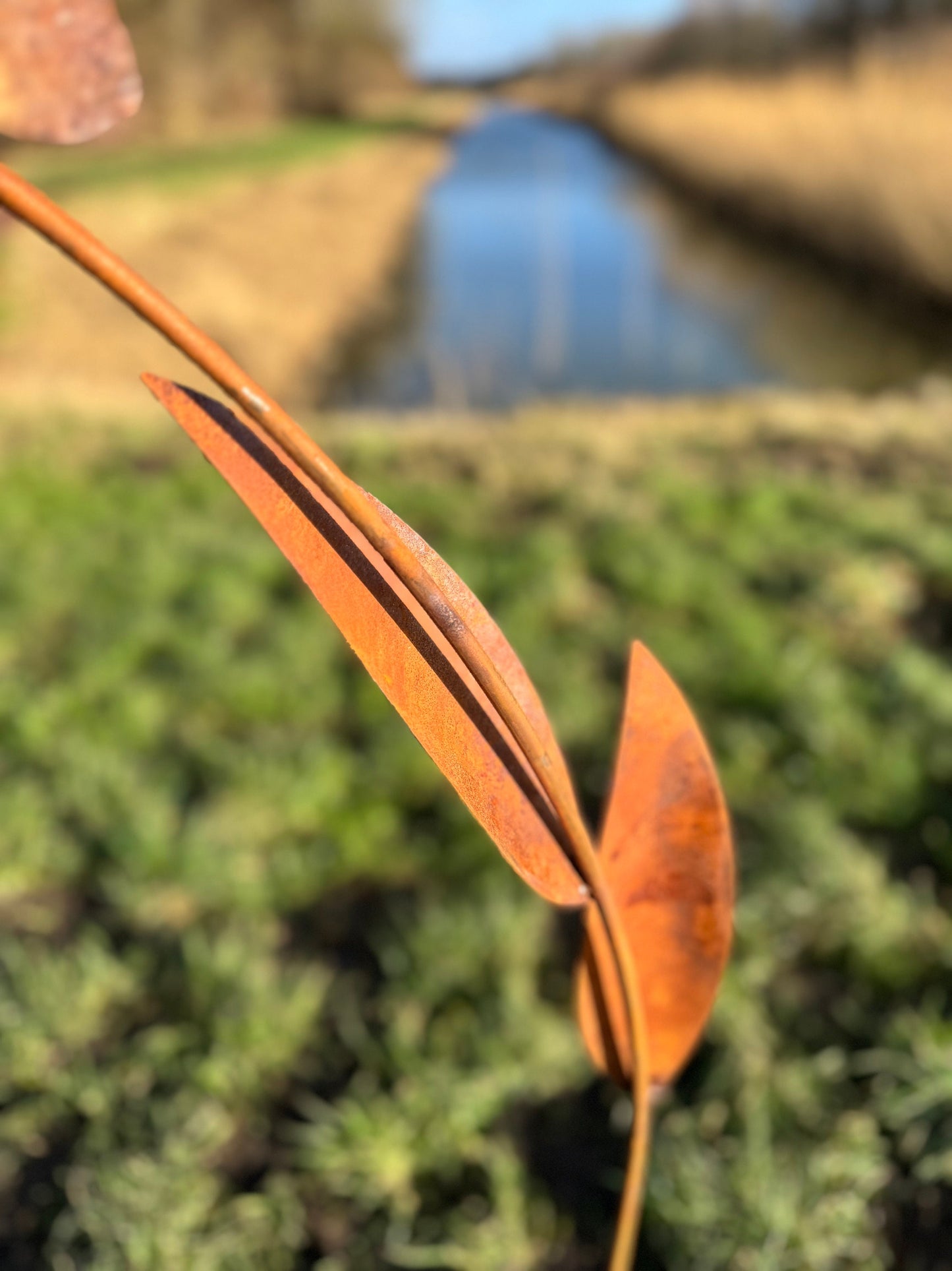 Wild Daisy – Iron Sculpture. 25x25x125cm