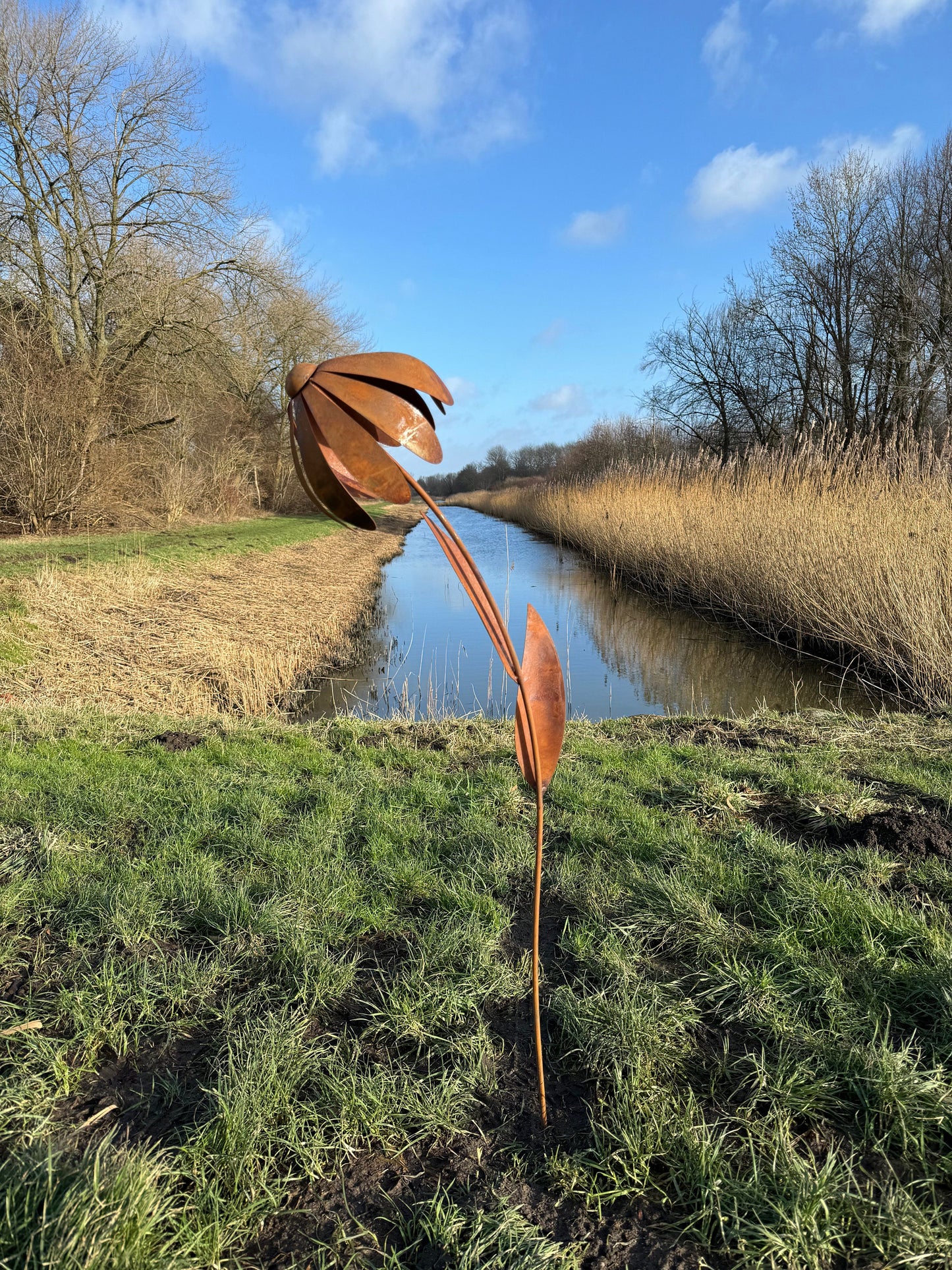 Wild Daisy – Iron Sculpture. 25x25x125cm