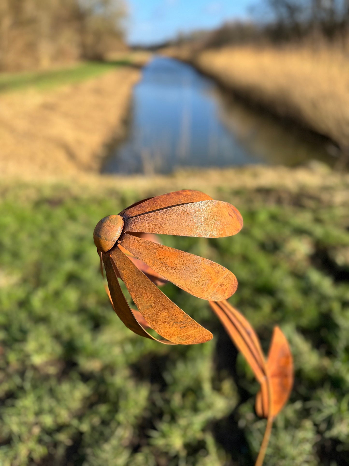 Wild Daisy – Iron Sculpture. 25x25x125cm