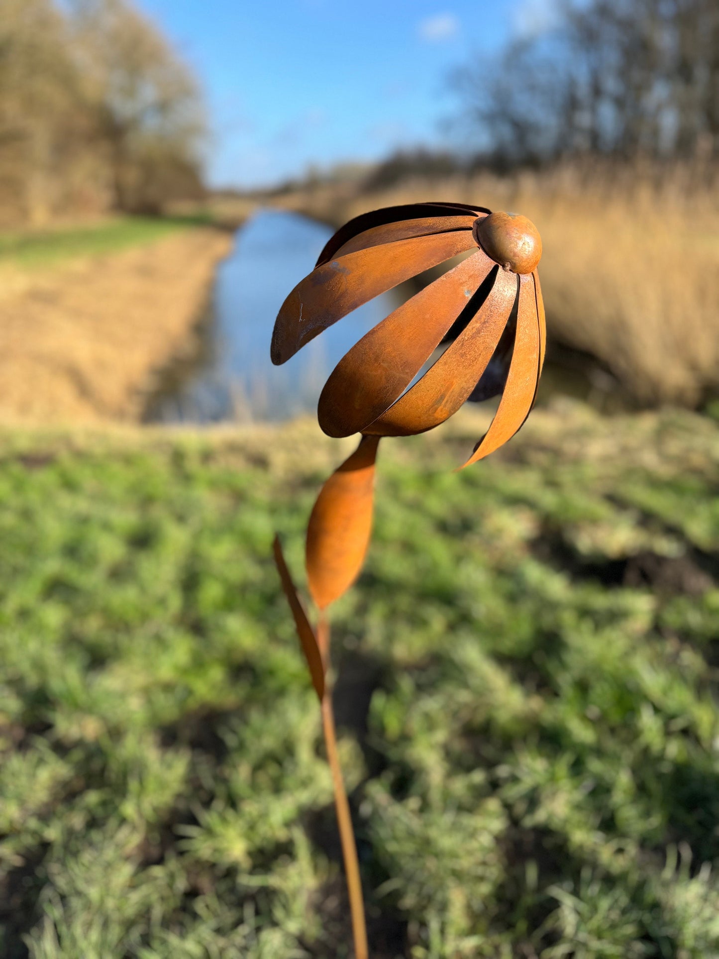 Wild Daisy – Iron Sculpture. 25x25x125cm