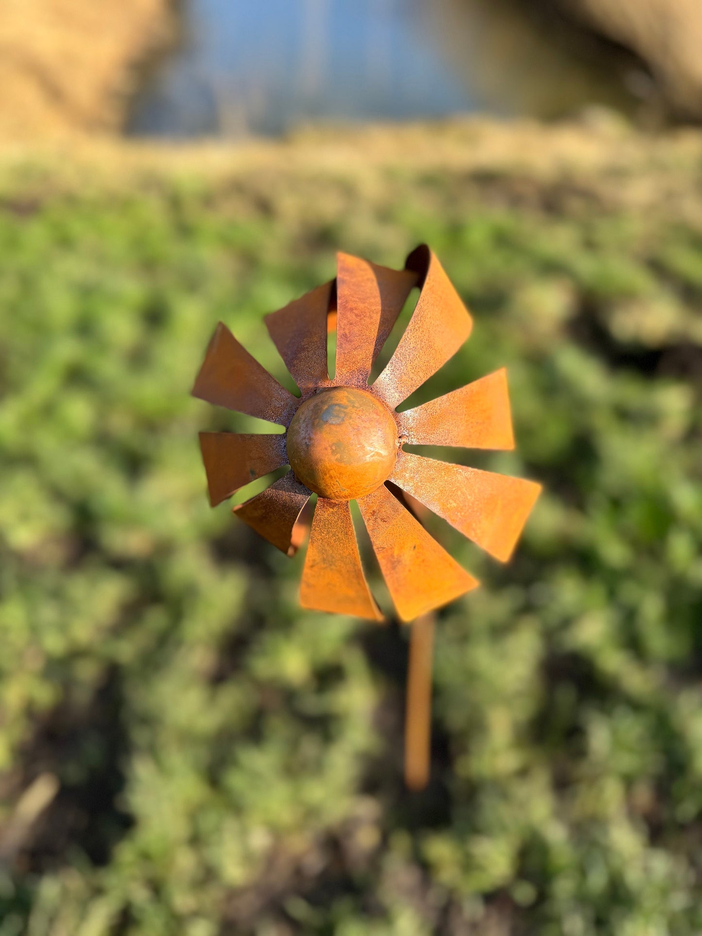 Wild Daisy – Iron Sculpture. 25x25x125cm