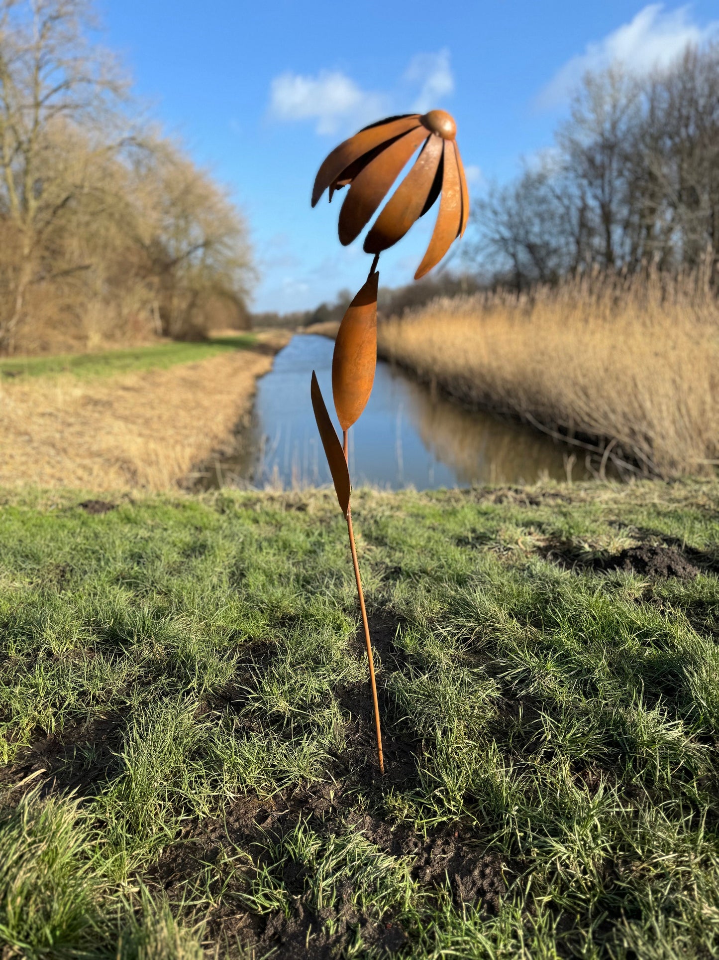 Wild Daisy – Iron Sculpture. 25x25x125cm