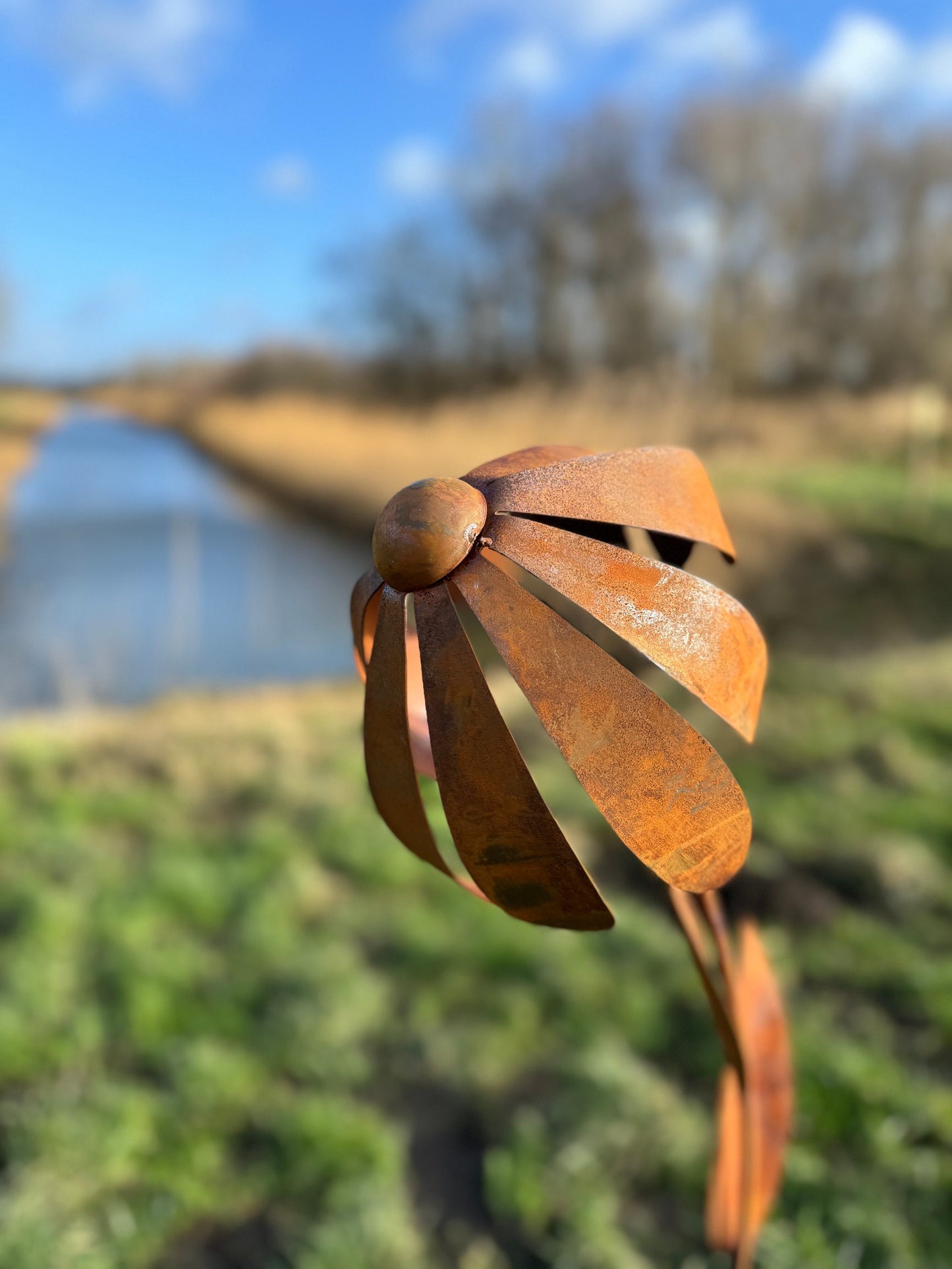 Wild Daisy – Iron Sculpture. 25x25x125cm