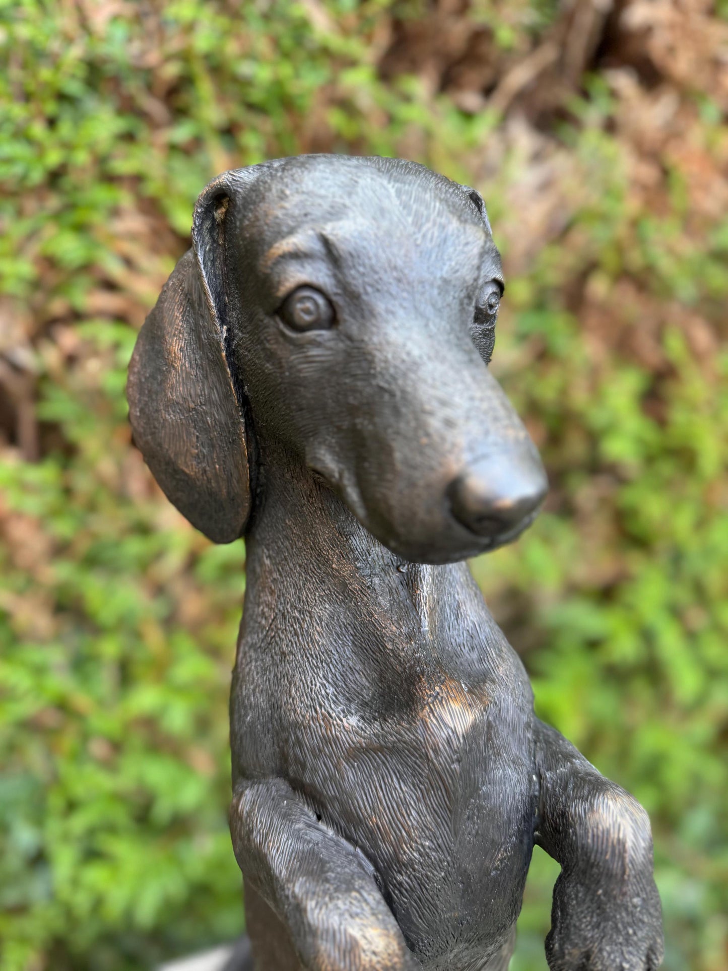 Begging Dachshund – Bronze Sculpture. 24x16x52cm - 7.4Kg